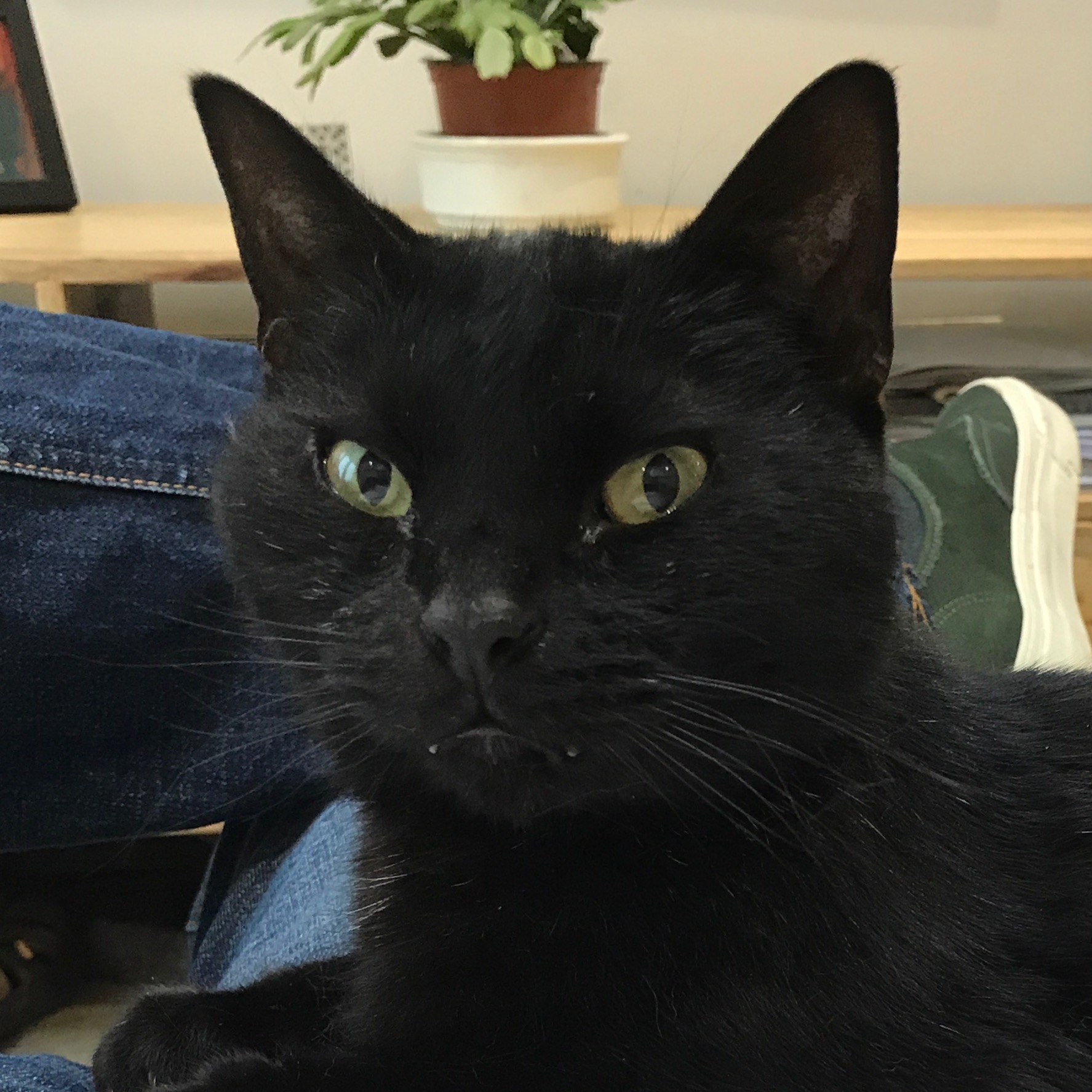 BCF37B9A-33F8-465B-B13A-442E542B2407