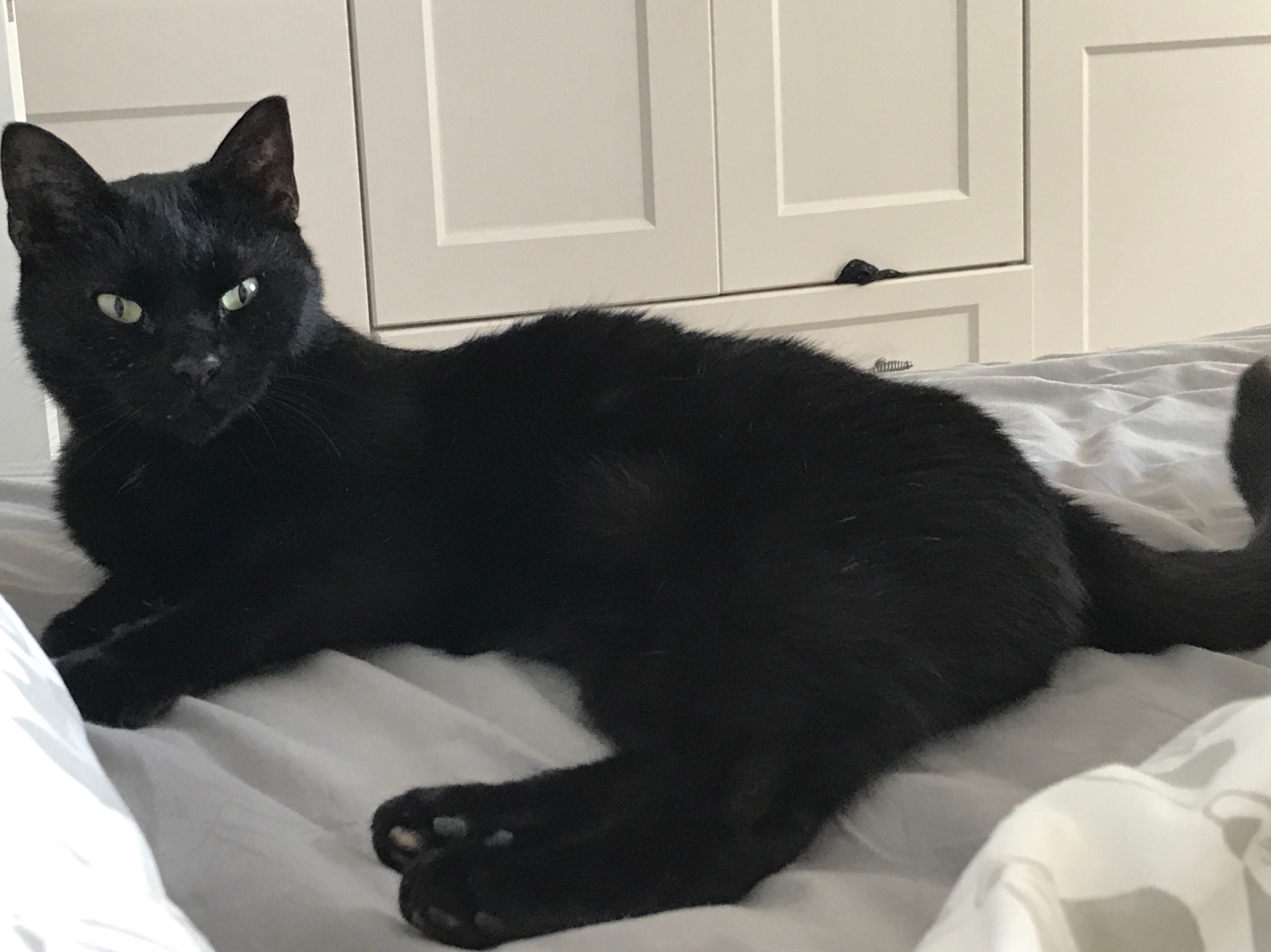 A6033C01-F929-4409-A2A6-95A73886DA62