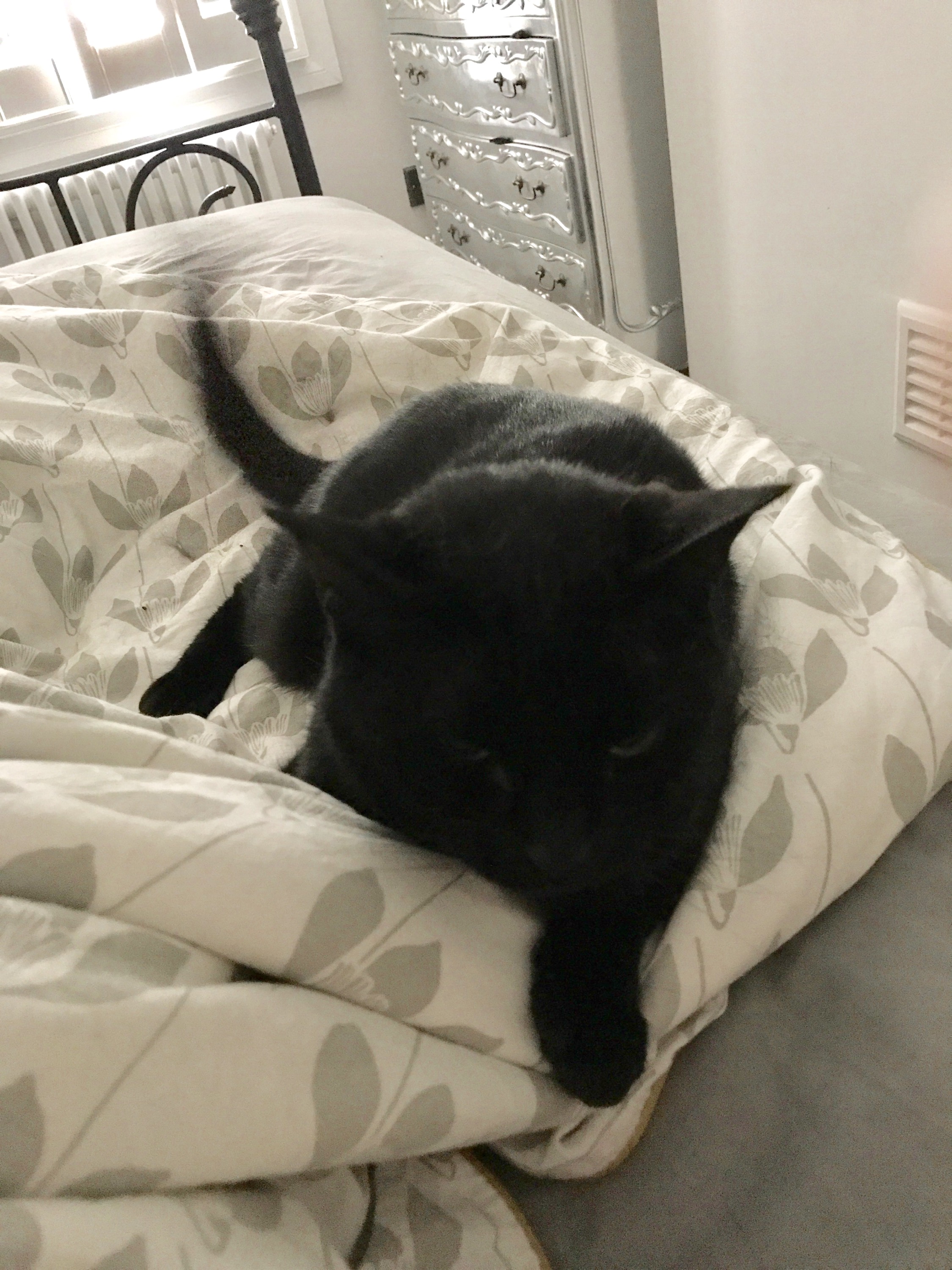 299D59A9-9375-4CF8-8244-803AF37ED370