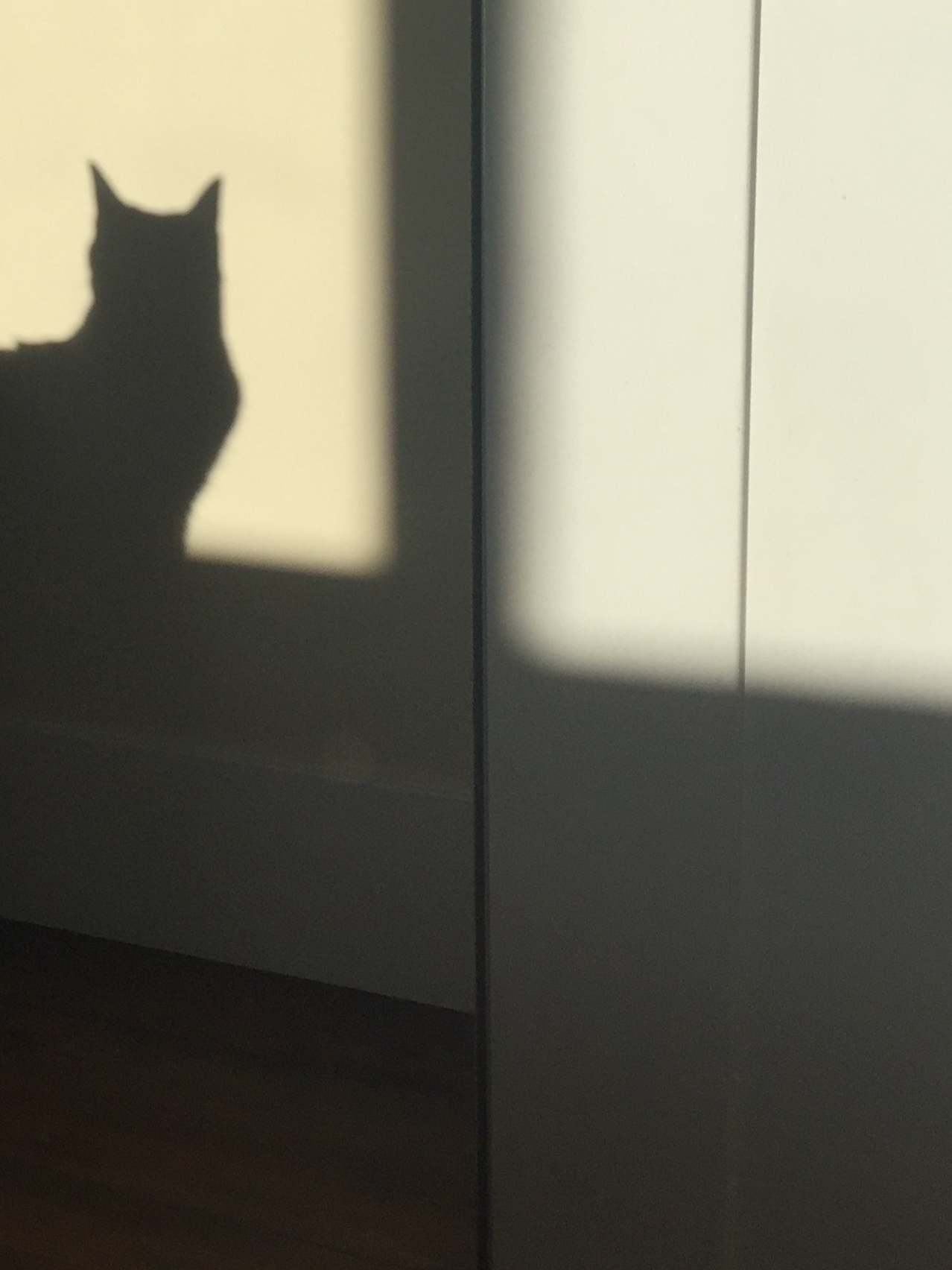 B9116EC7-7EFA-4767-9947-6514114EB0AF