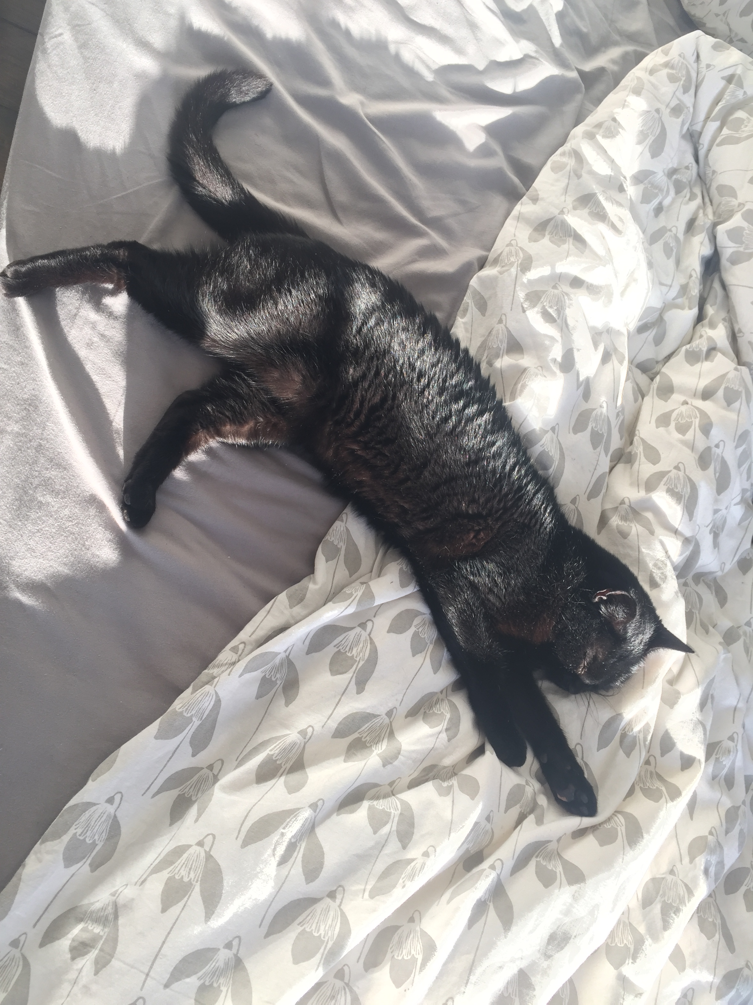 AC20F5E1-5298-4F40-85AA-51383A725A38