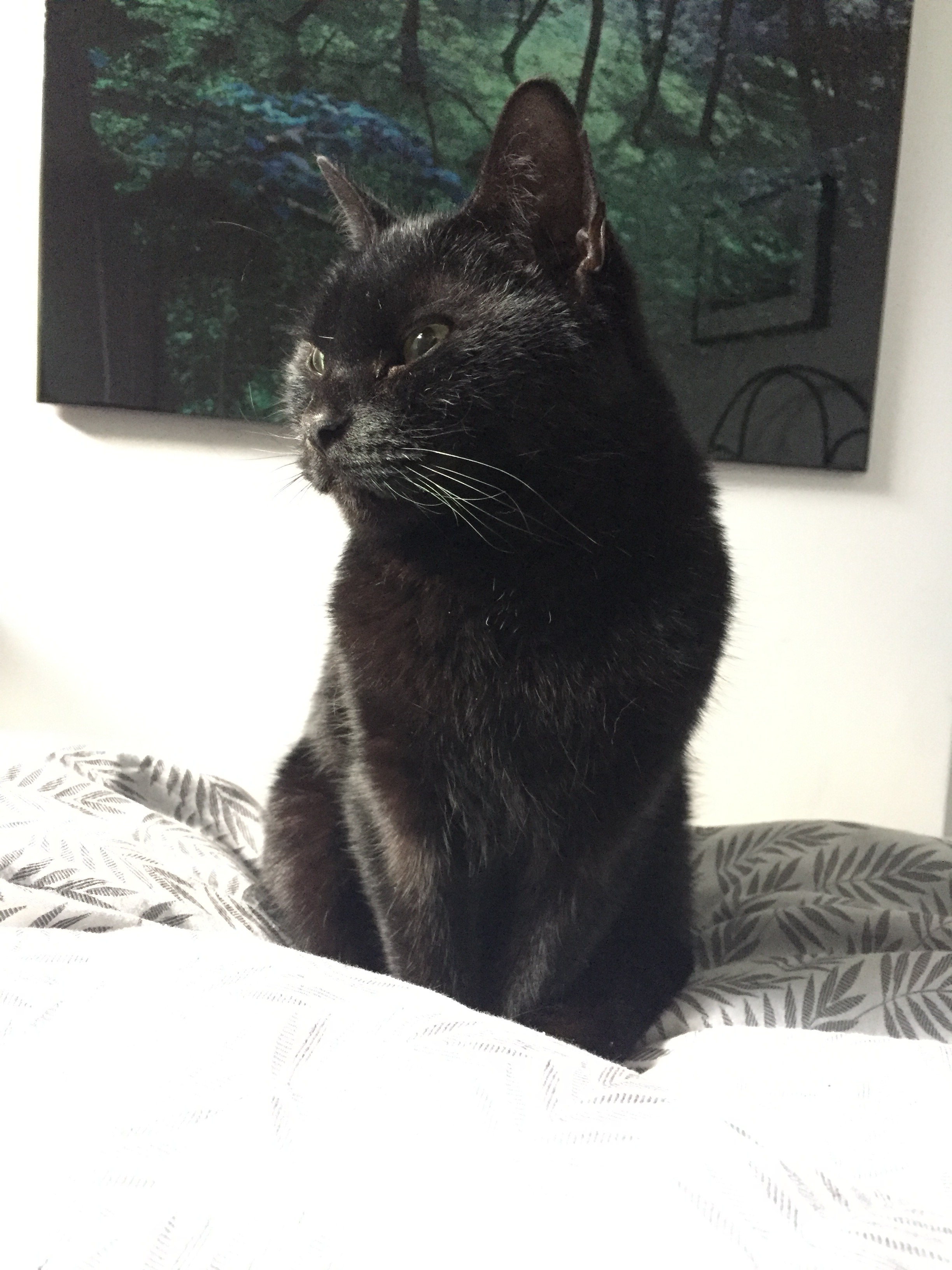 3B5D5497-9F65-4D5F-A889-C1AFC43FCC1C