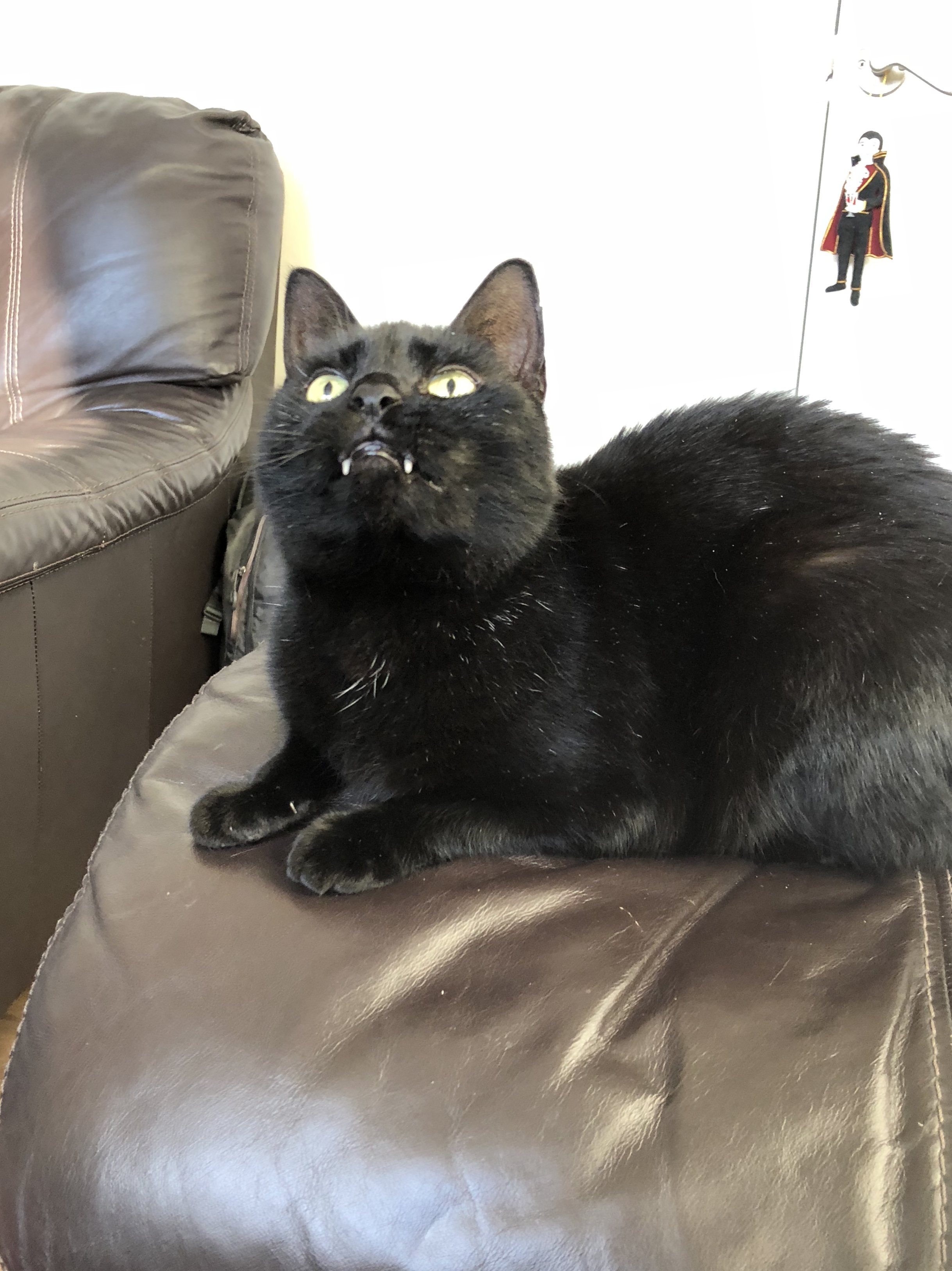 B18D6BC2-965A-4027-968A-C419B2390A5D