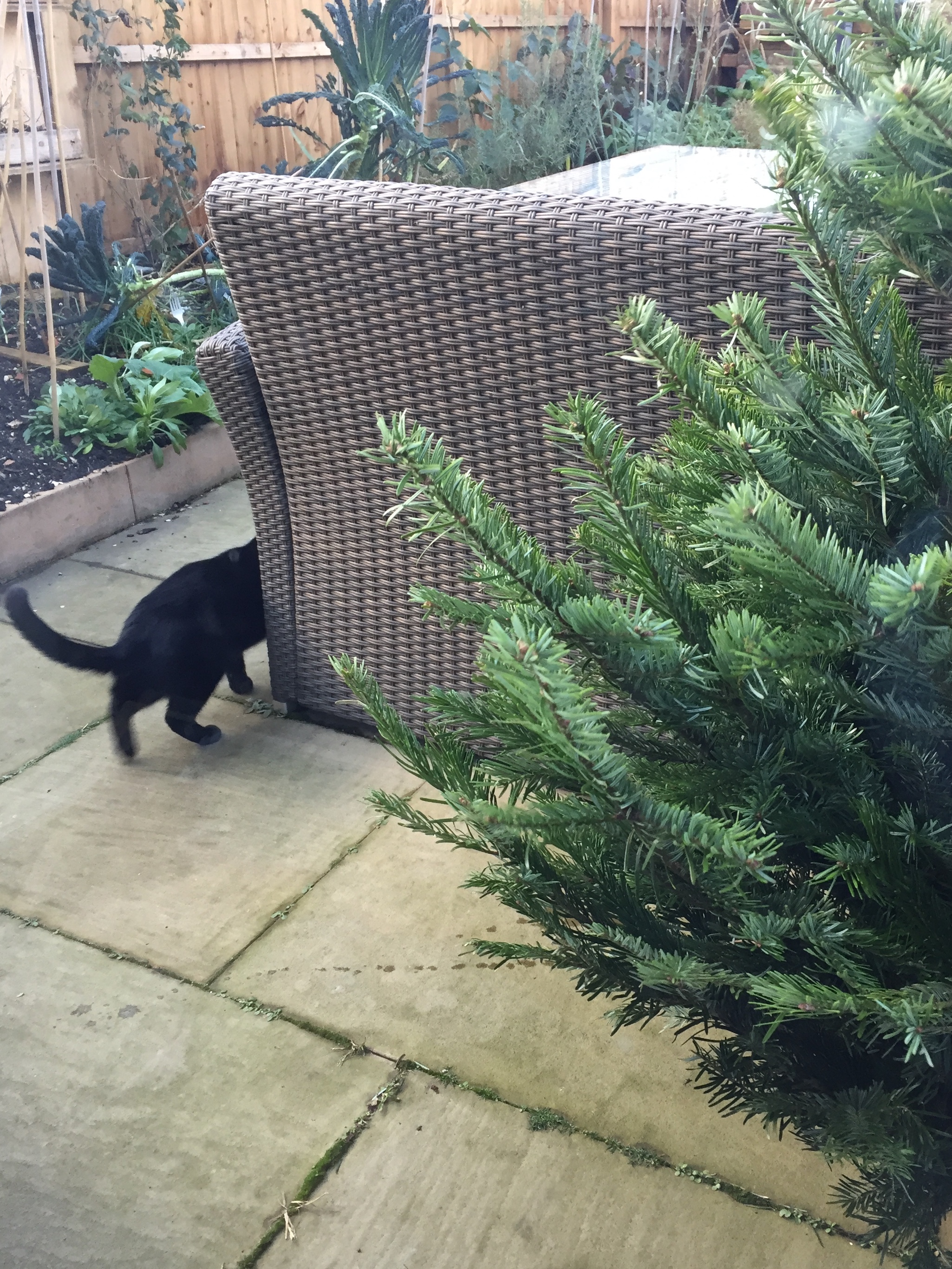 D390CDED-4684-47BD-AA3A-CABAF75C5154