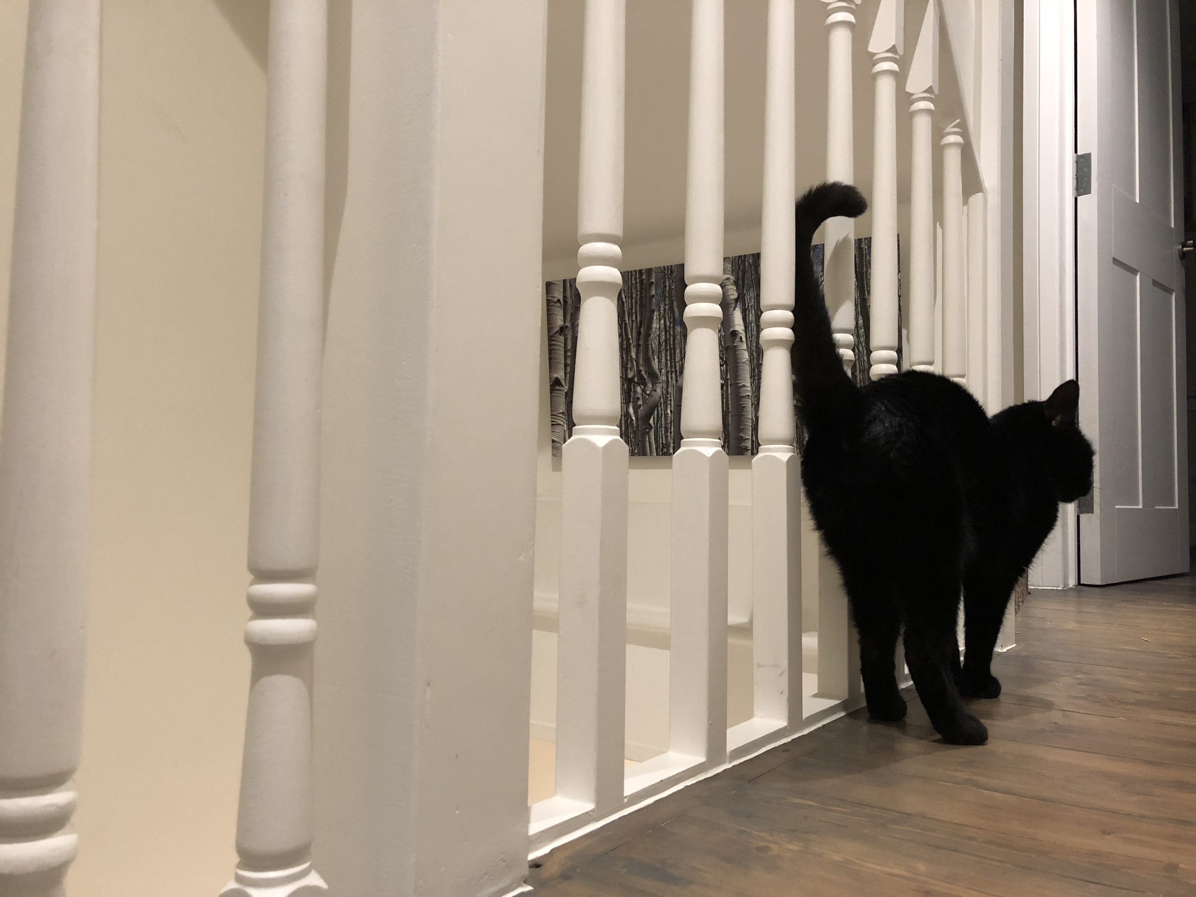 14CCCEFC-3E44-483D-8377-97F2755F6C7D