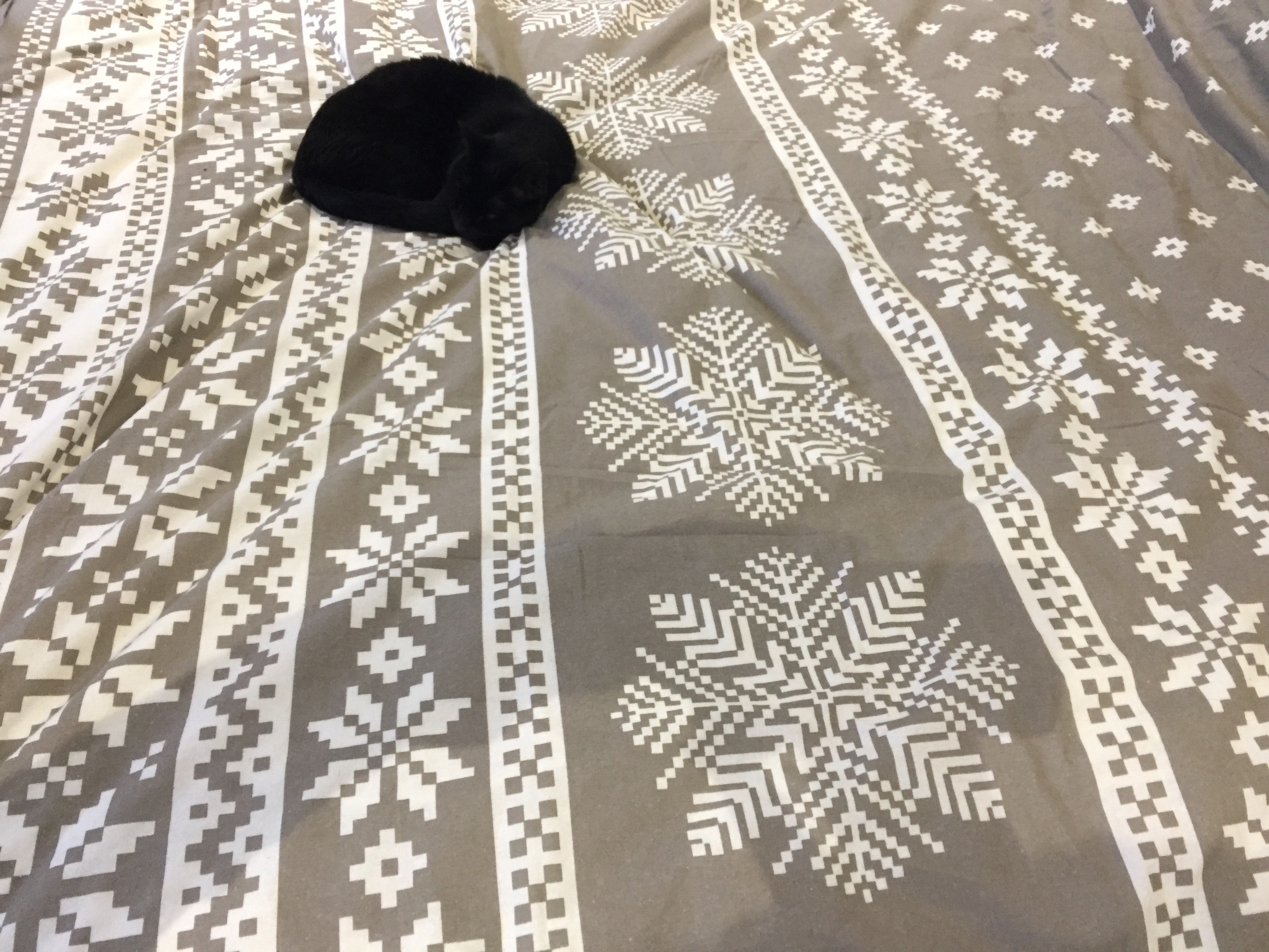 1C34E9A2-C294-47E5-99D8-ECA95CA9D256