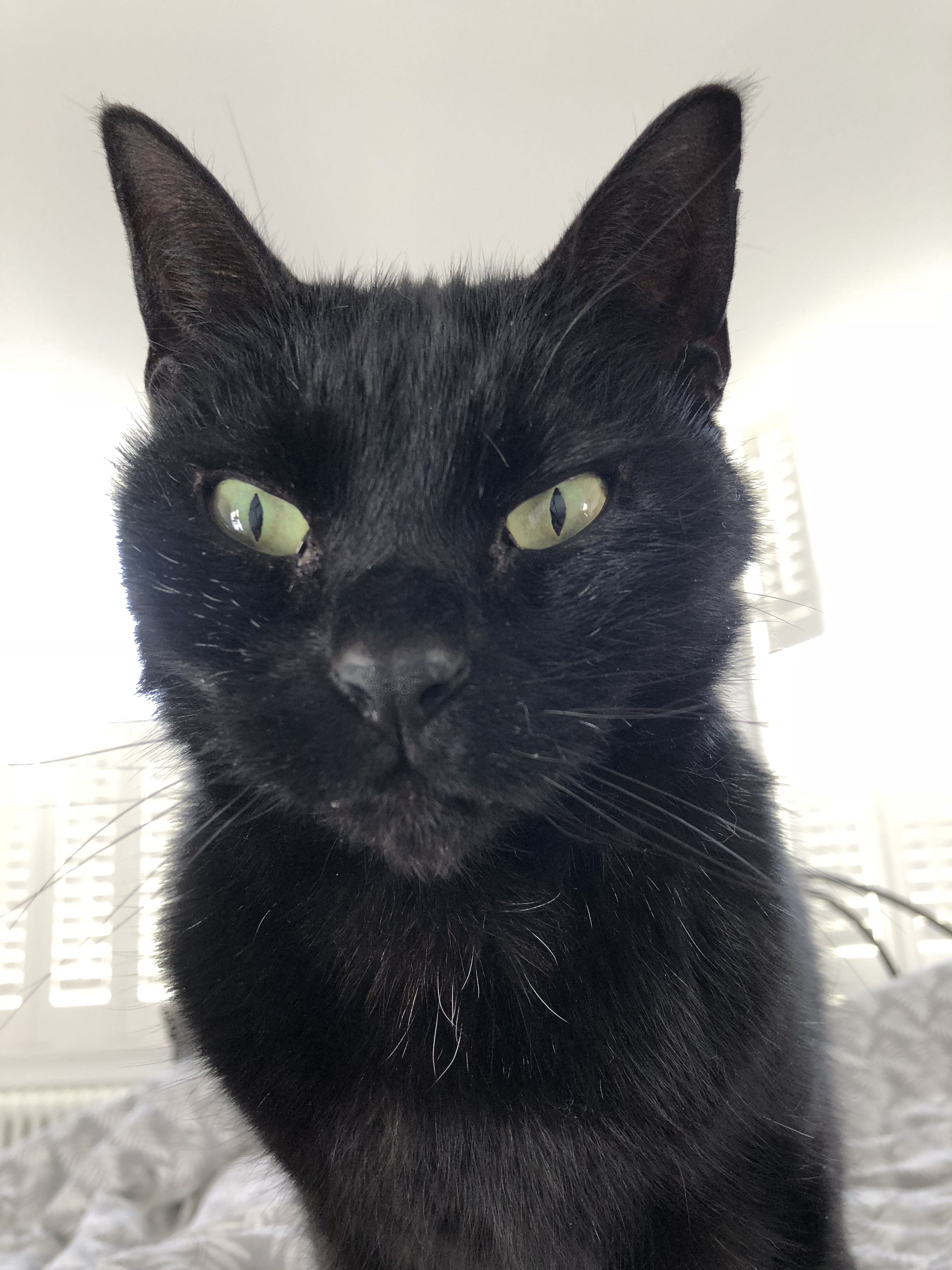 A31E46B8-D744-4D6E-8047-2171EB2500E6