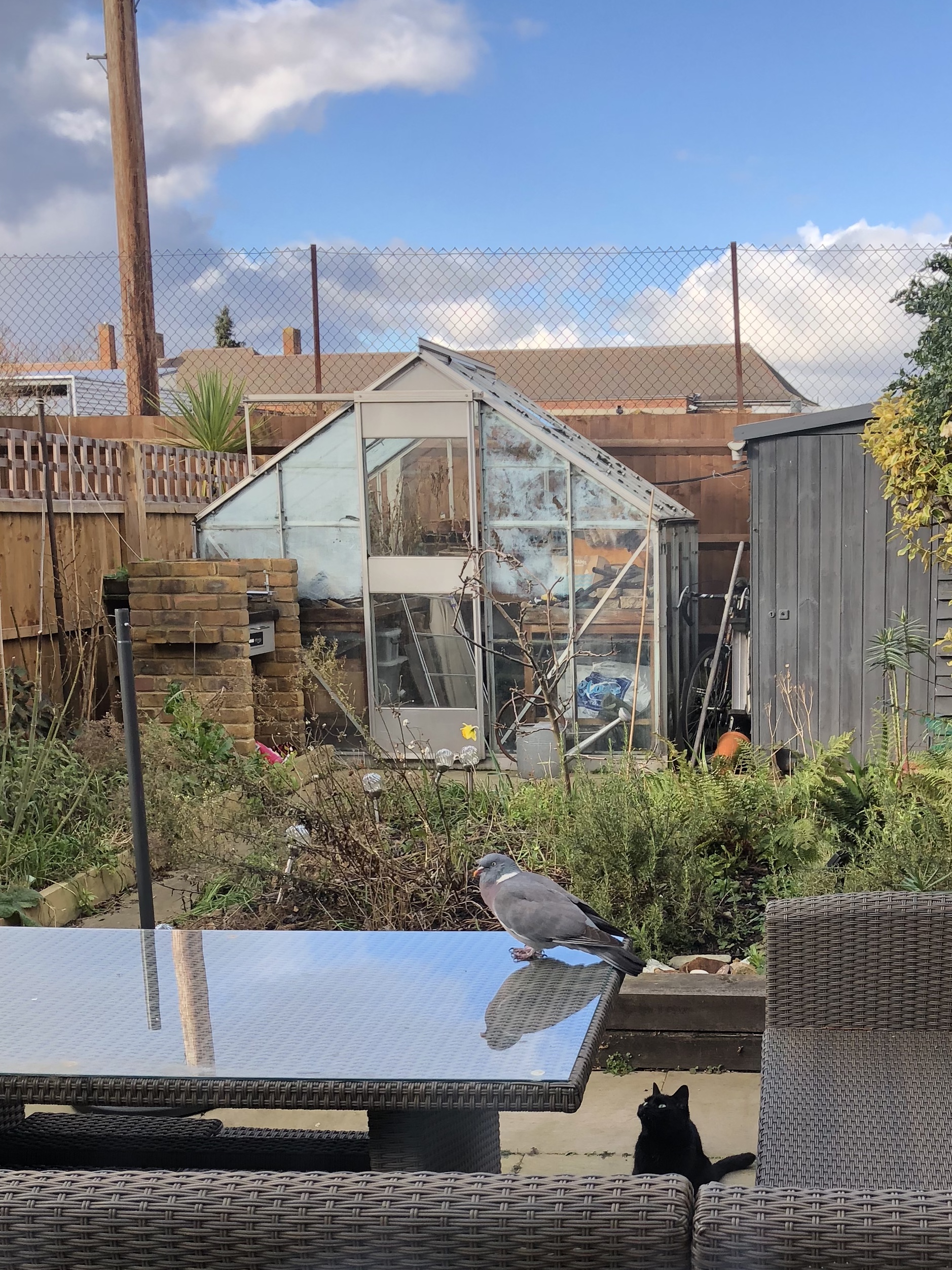 F703F796-EEA5-48FE-8228-39CE35E4377B