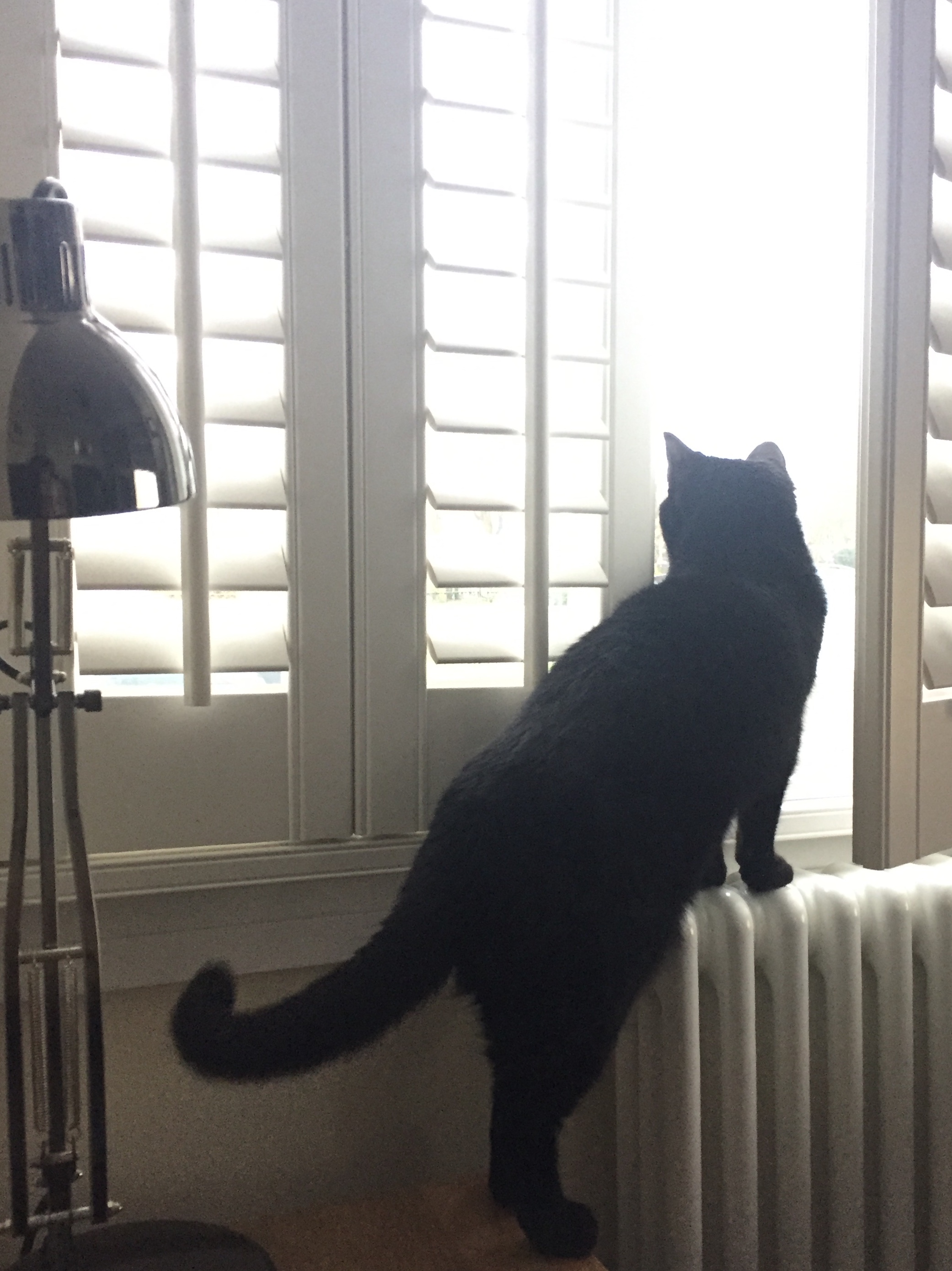 158465AE-8CCE-4178-9F27-0C17F4DED45D