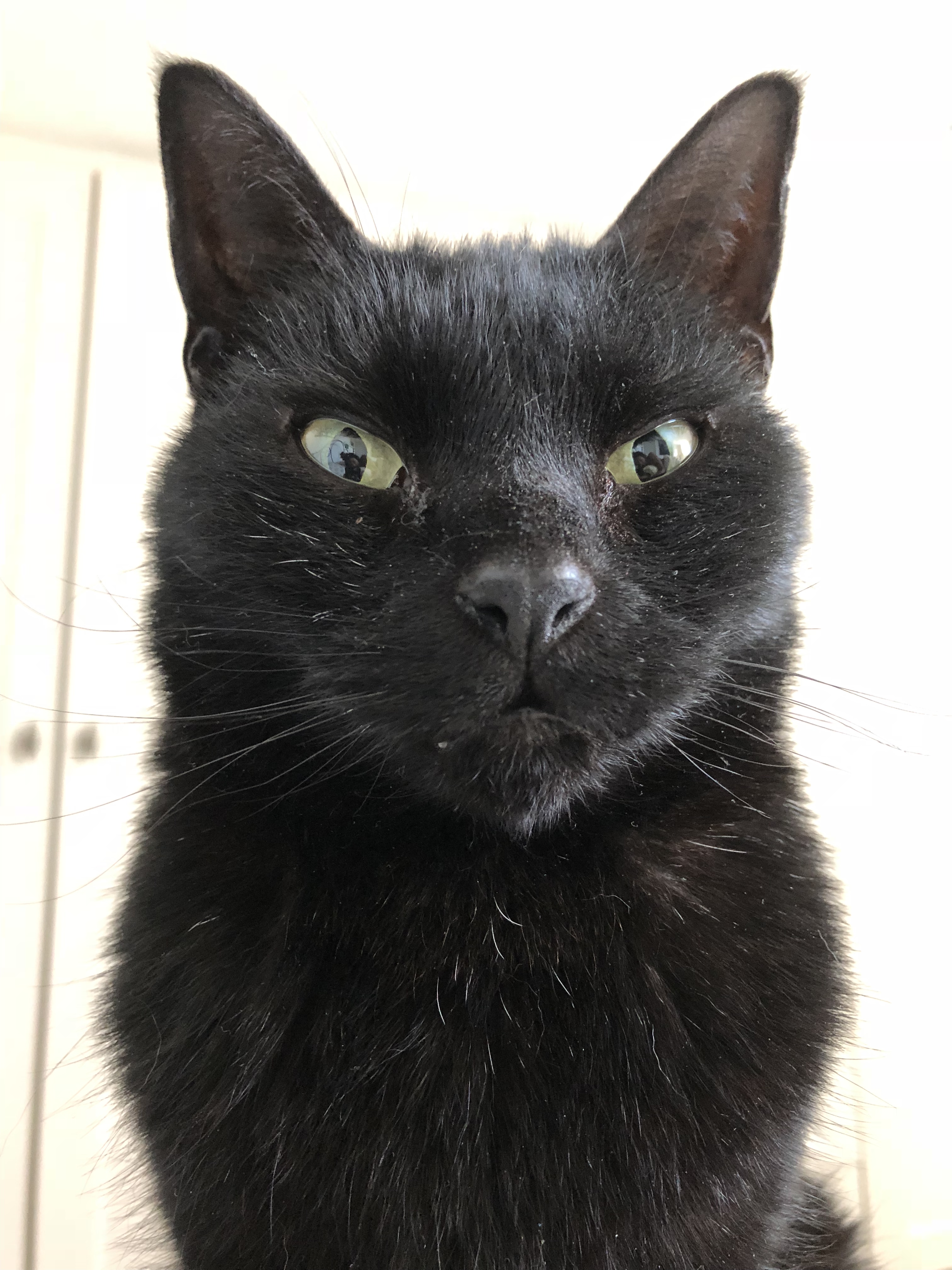 95BD035A-D0A0-4915-BC4B-5EDF08345C06