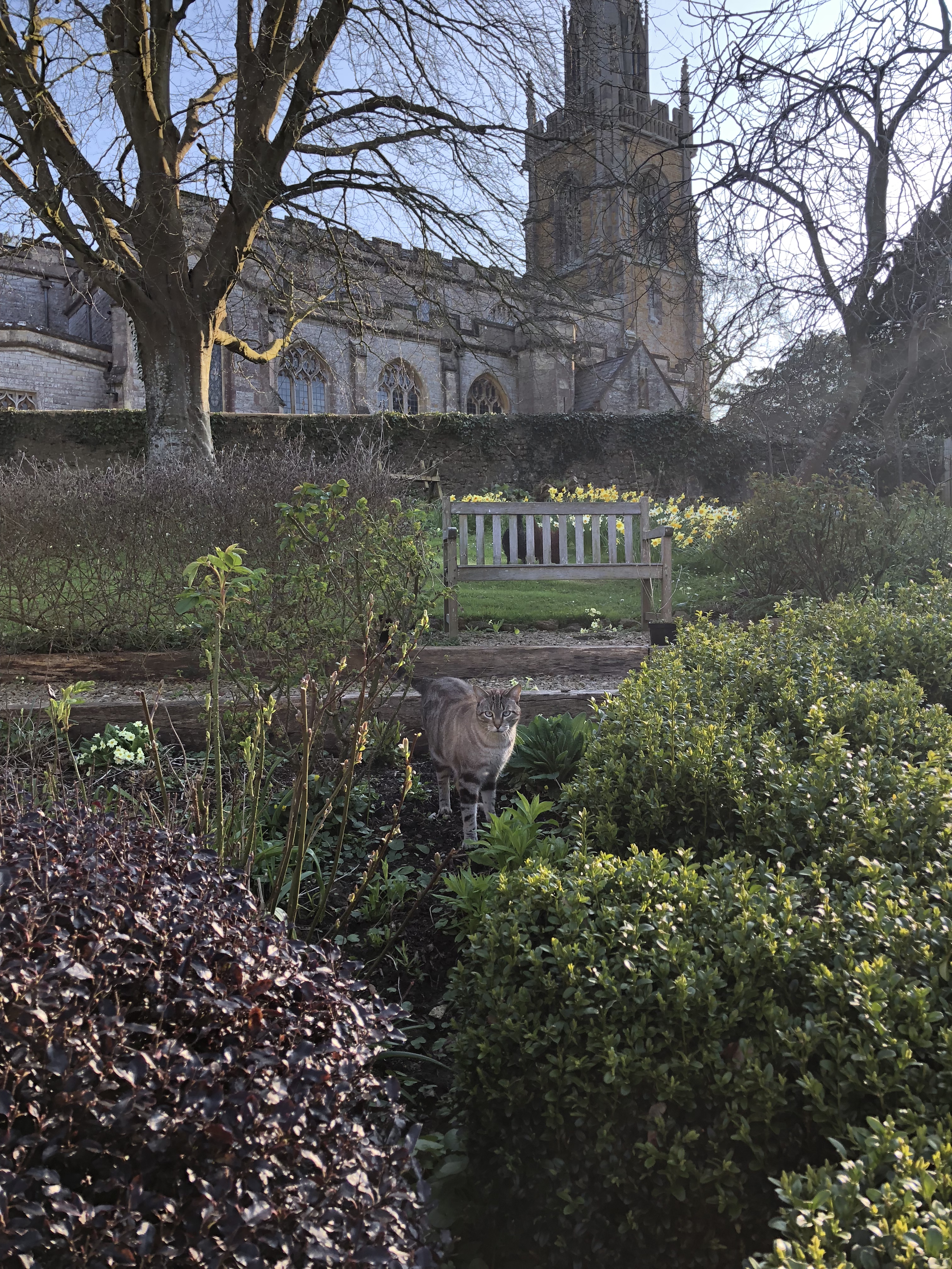 9DCD6169-A085-4E53-804F-CEE0BC31FD72