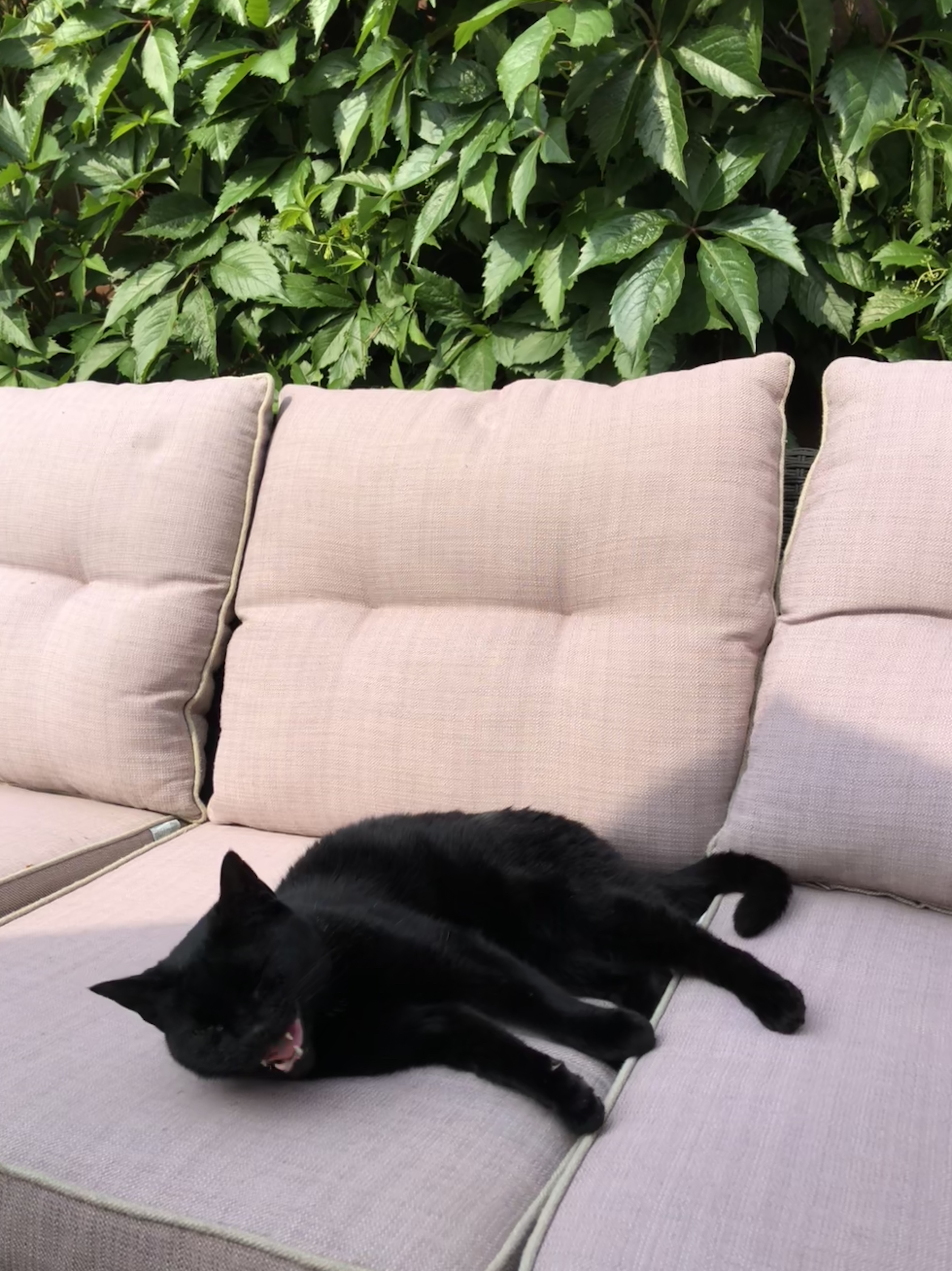 3996F3C1-8EDC-404D-A5CF-DCD3C7395C42