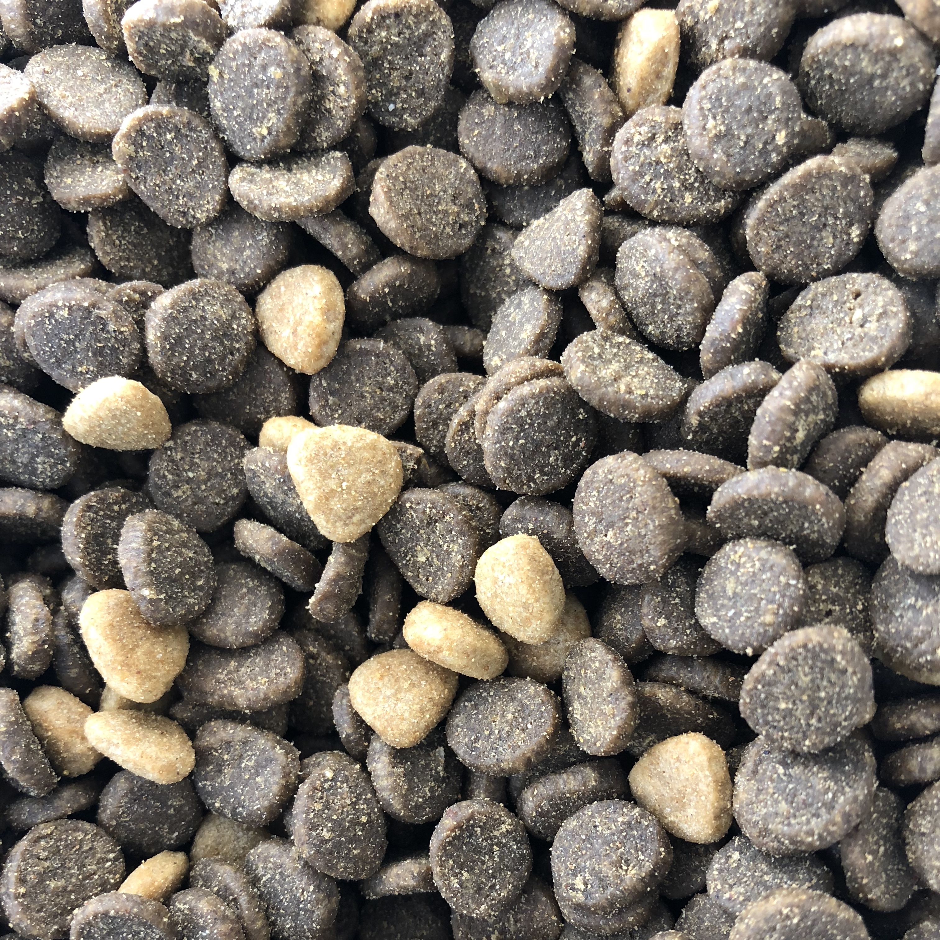 A6E5A008-9CCB-425E-A2CD-607B2789118E