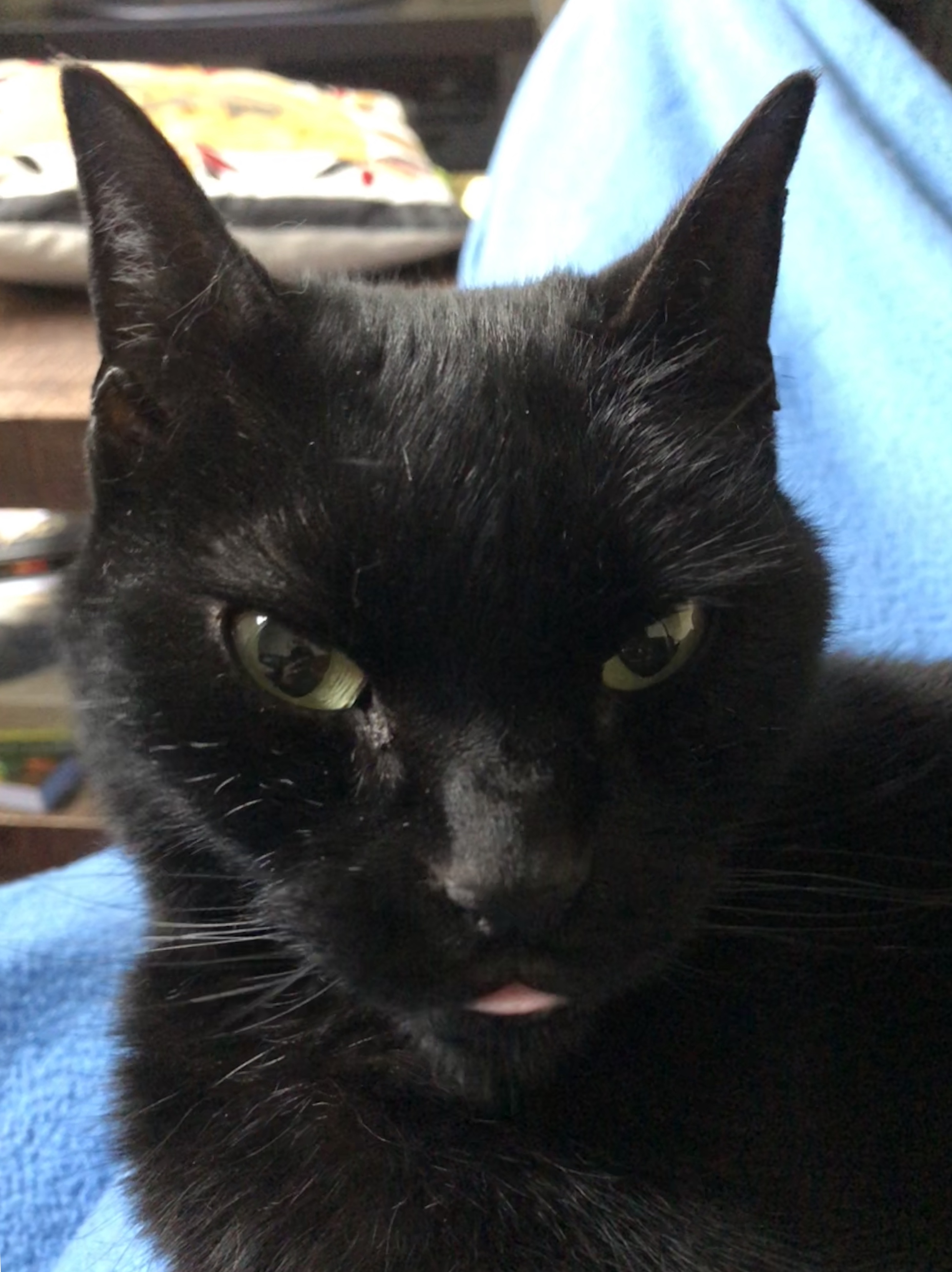 AA247C0E-EB94-4310-8751-5AAAB81C341A