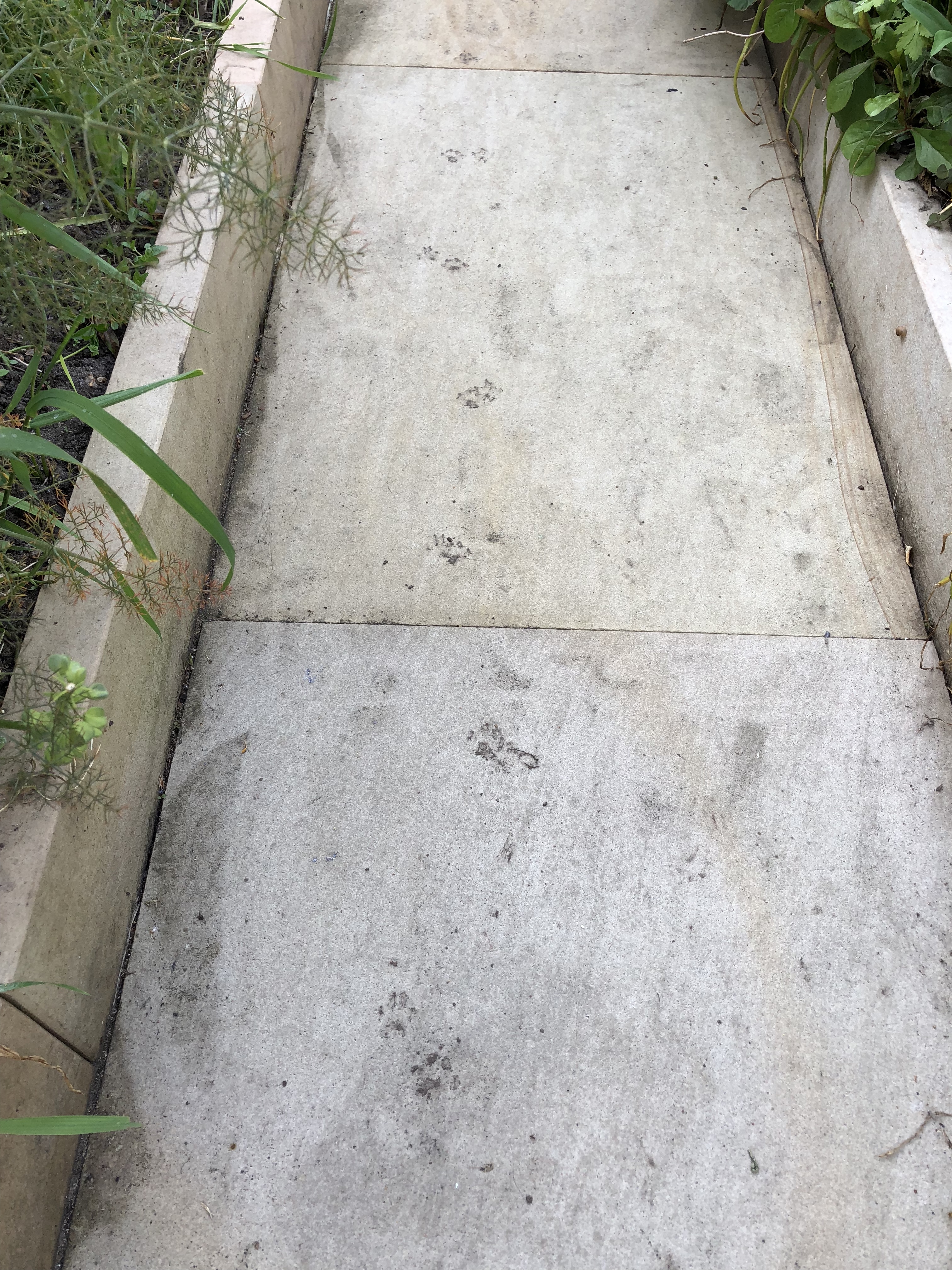 D204A87E-B936-48E7-BD3F-F254CE20741B