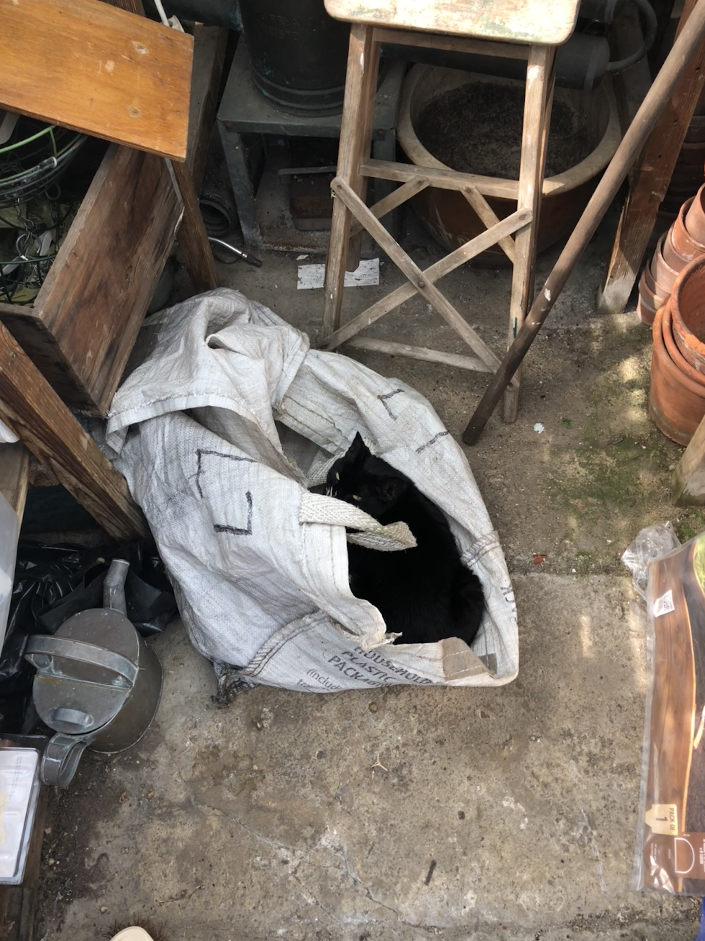 DFE9742A-1038-4FE4-BD5B-1D45DBF2456F