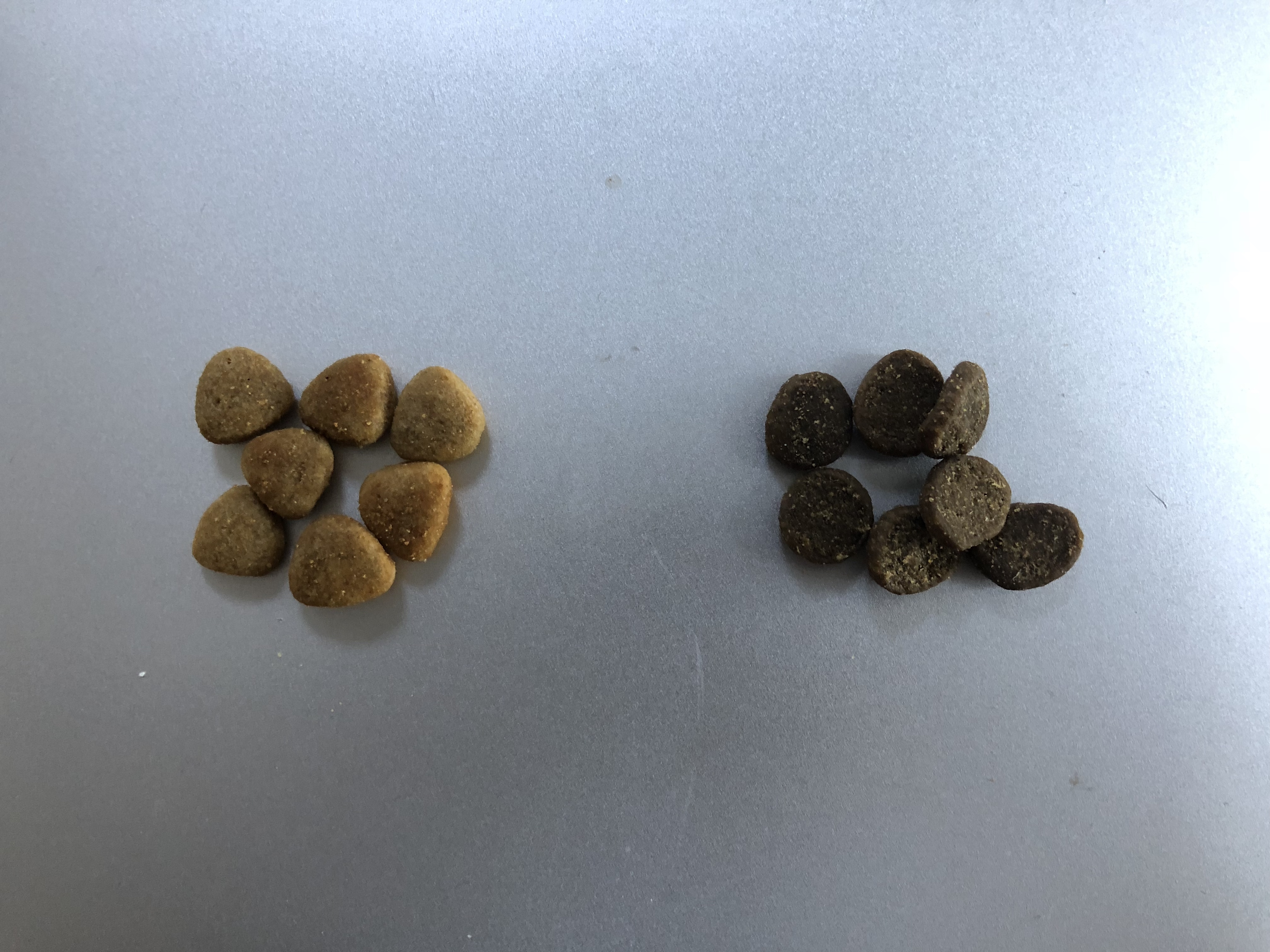 F1CCD6AA-5896-4FBD-8471-EBB3CBDCF677