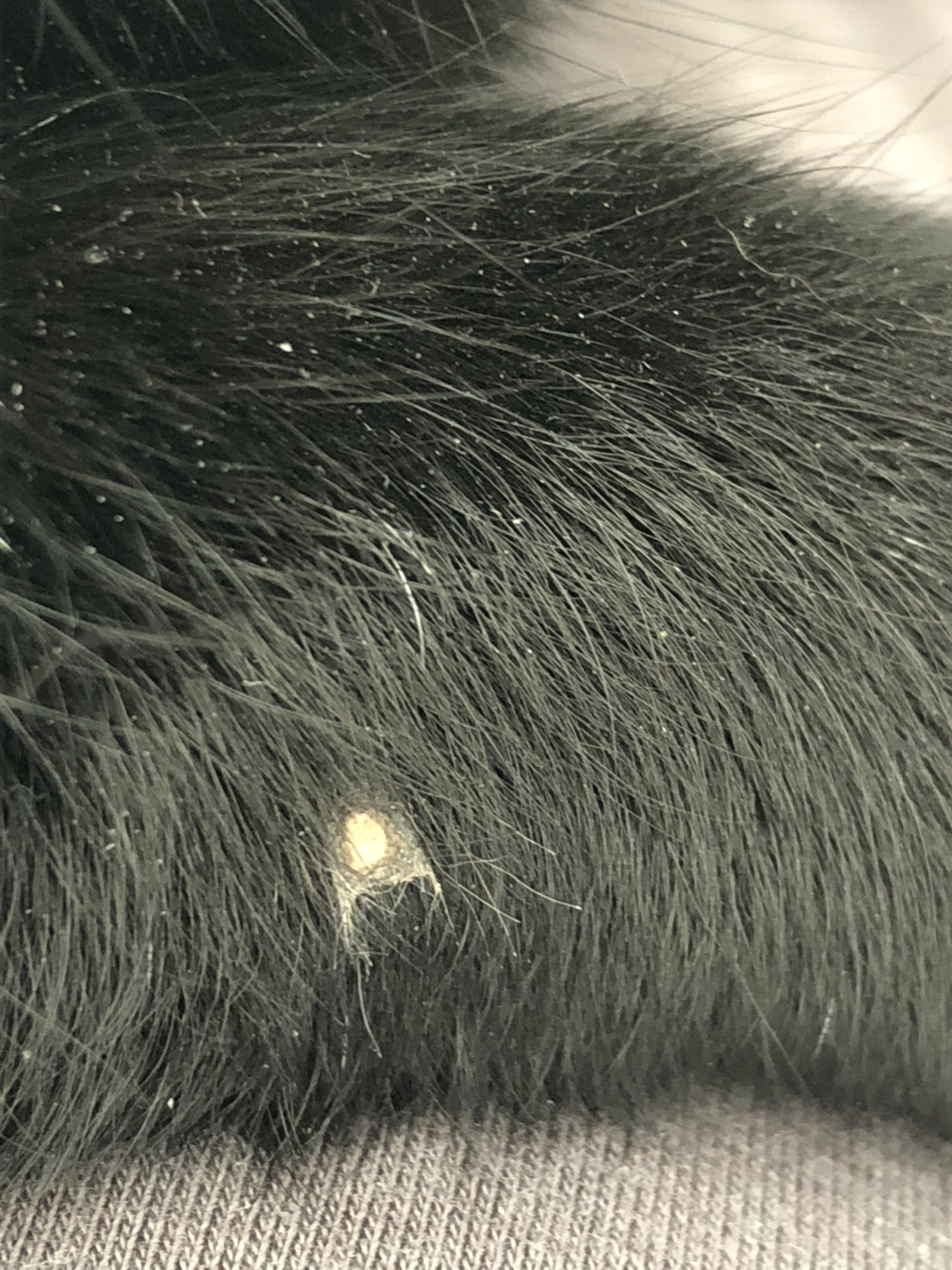 48DEB030-9B6B-4734-B617-FDD01E01EFF0