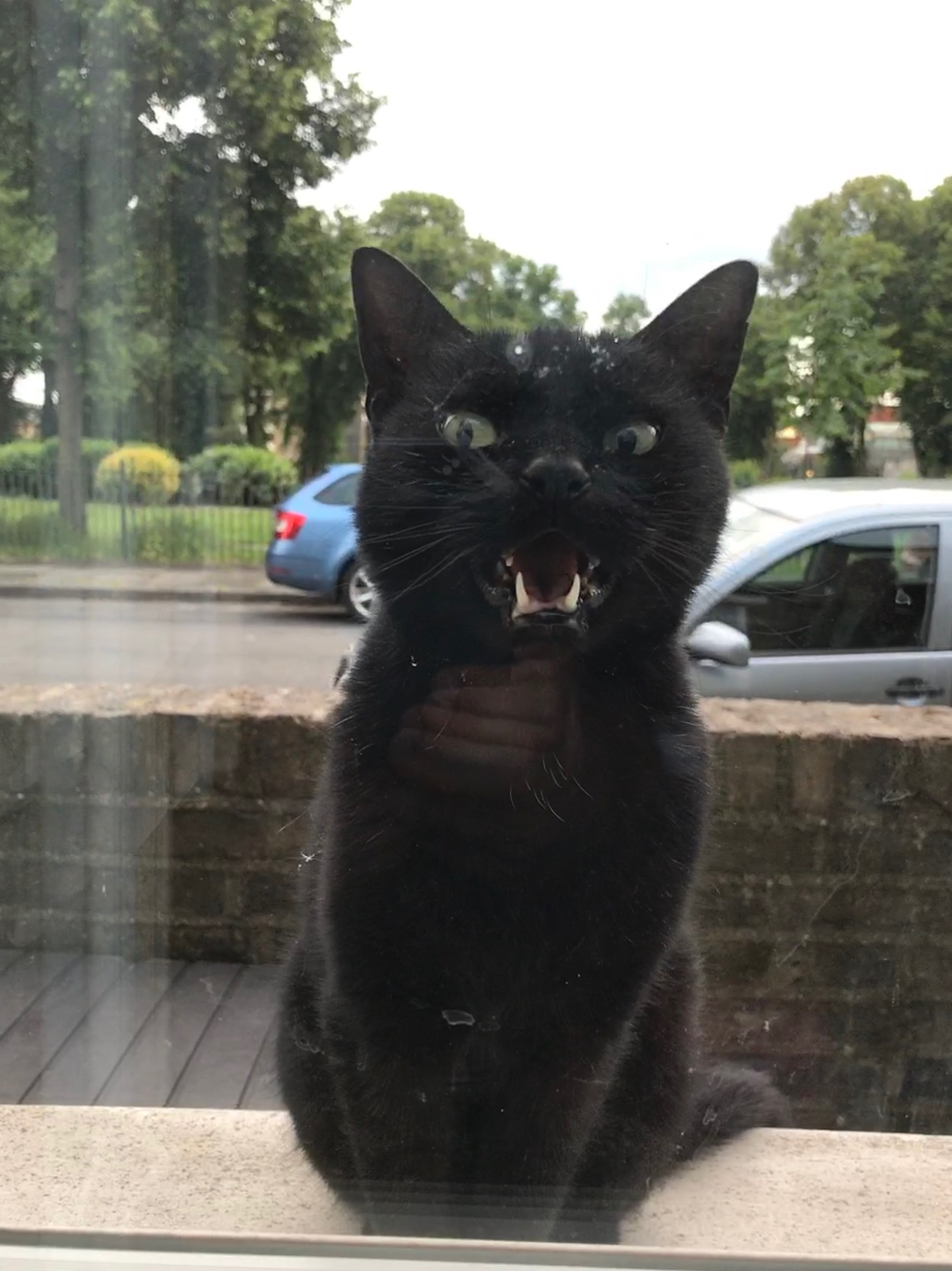 613A8331-F4F8-488C-97C8-EEBC8B98641C