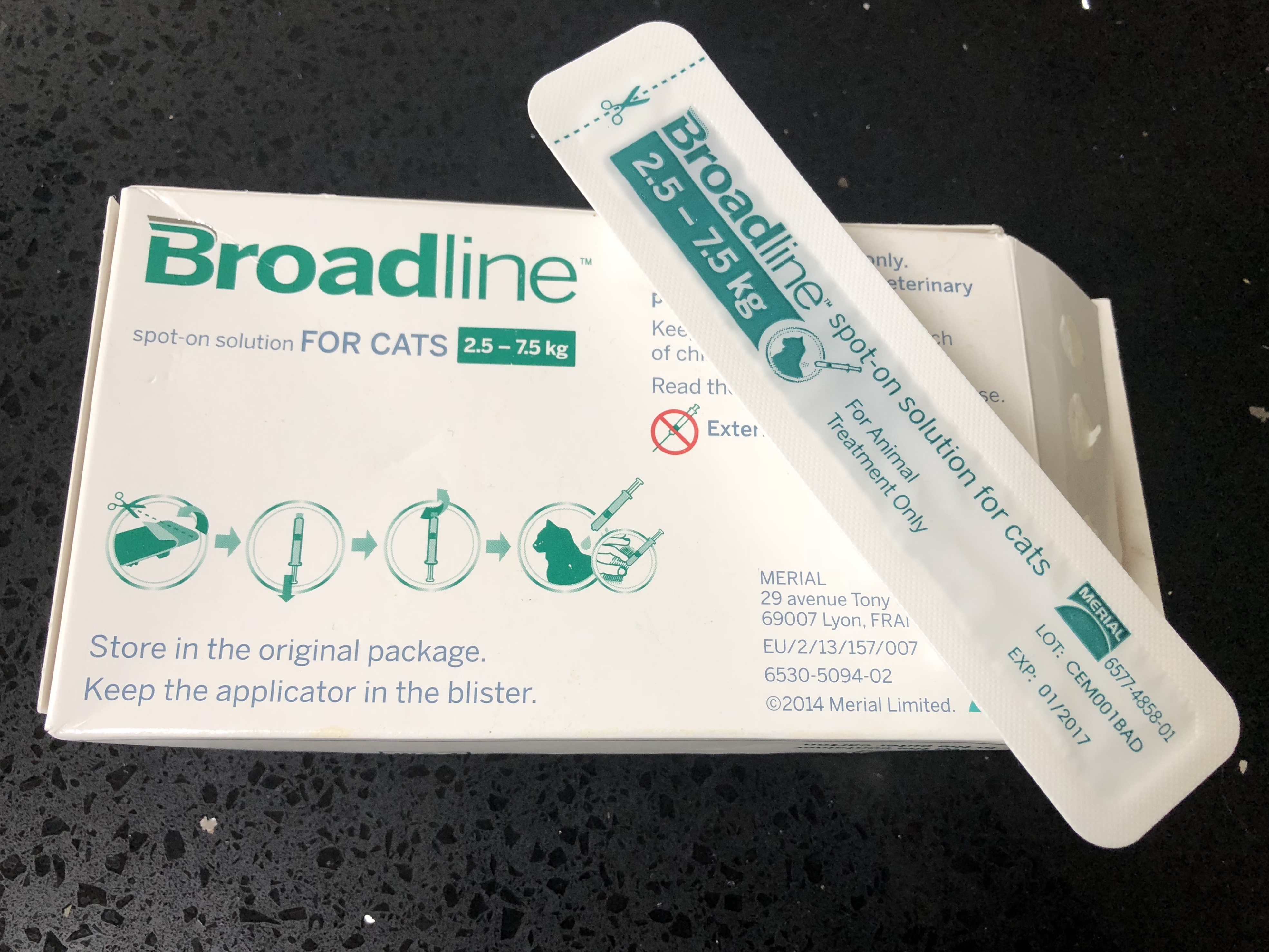 C584A943-212A-47E7-9B98-81566F8D670C