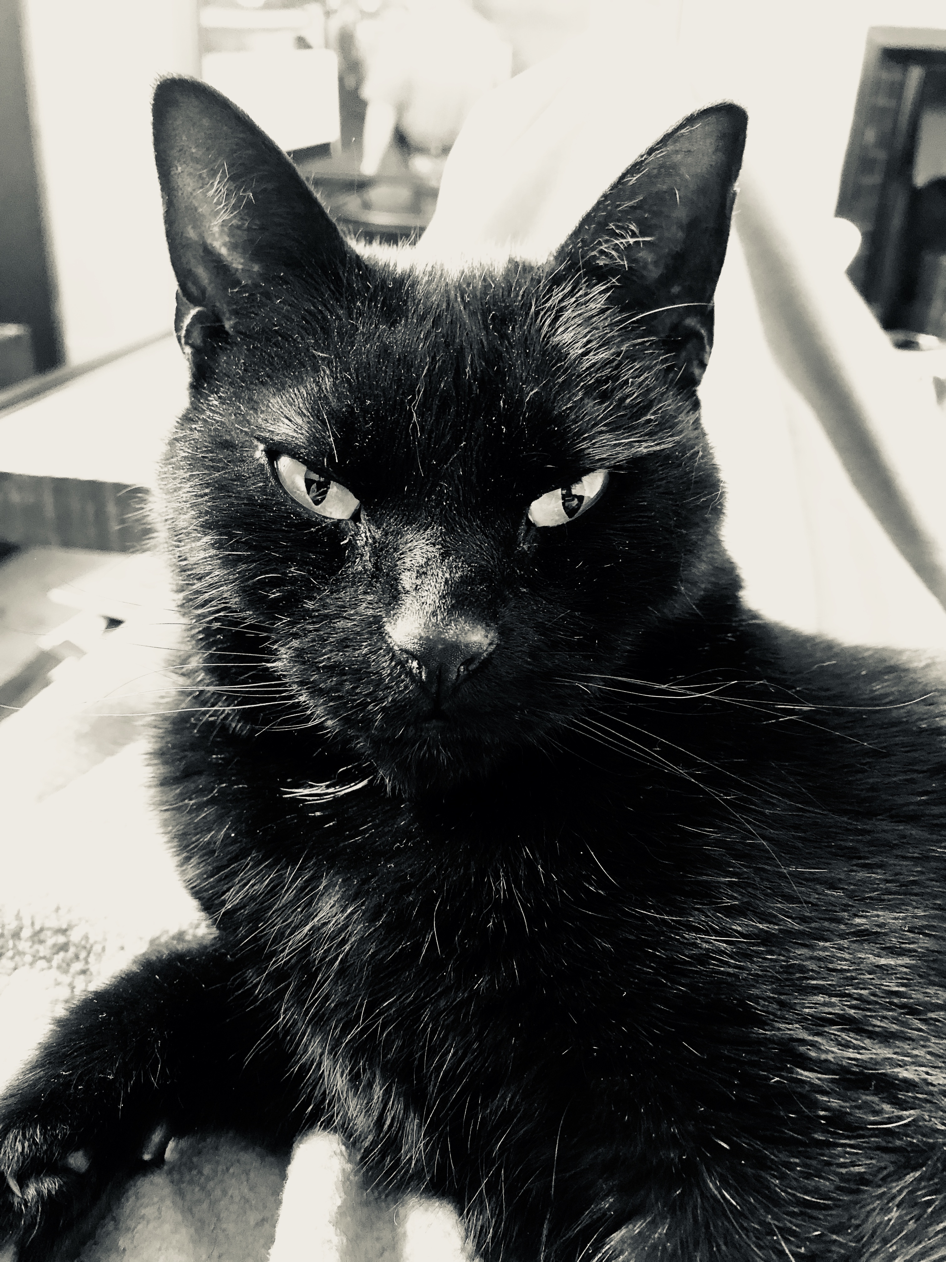 409FD41D-69D7-4589-8EC8-9AF9330D187B