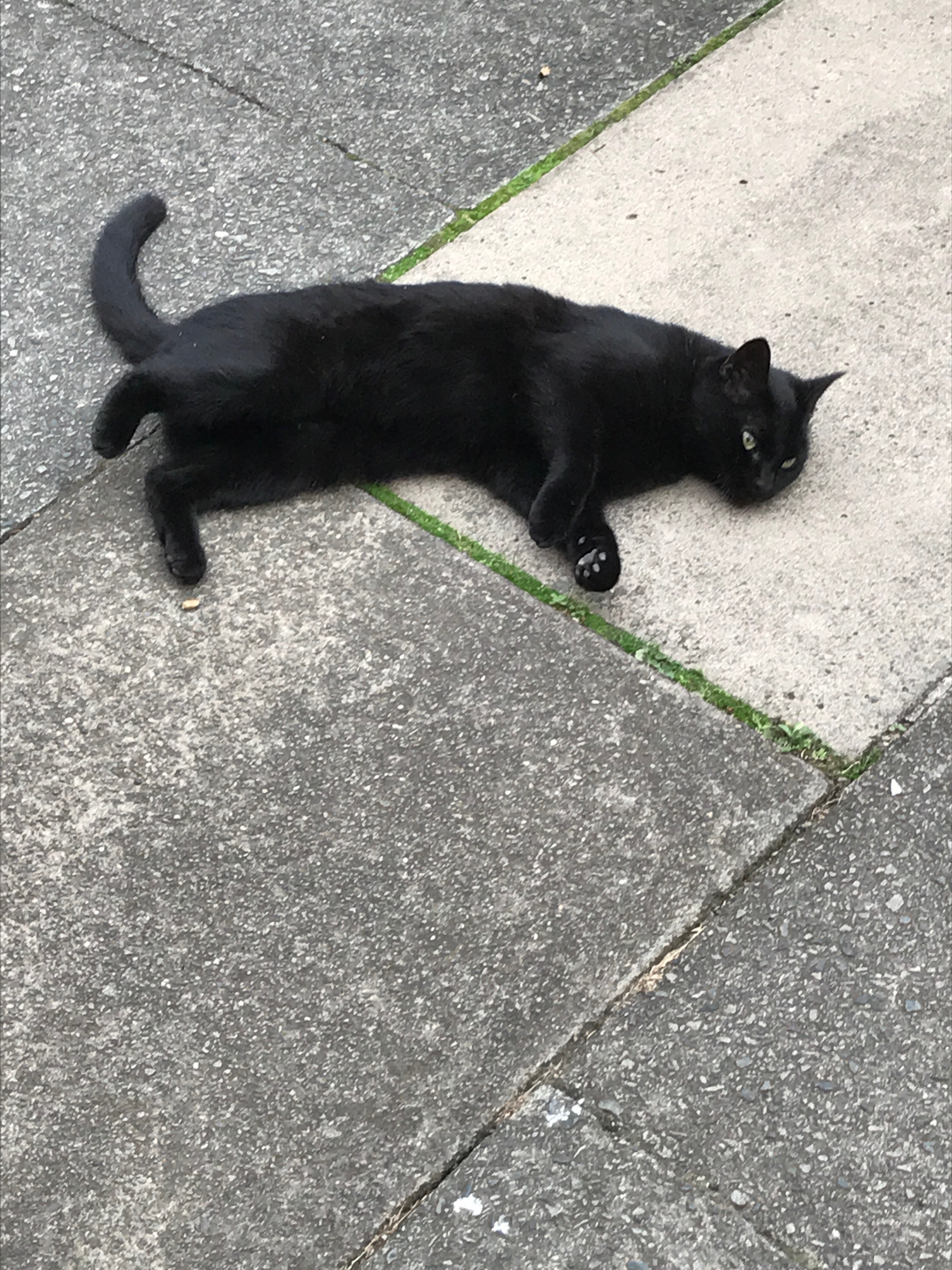 1F818D5B-4EAC-4234-A412-0164DC1F60E8