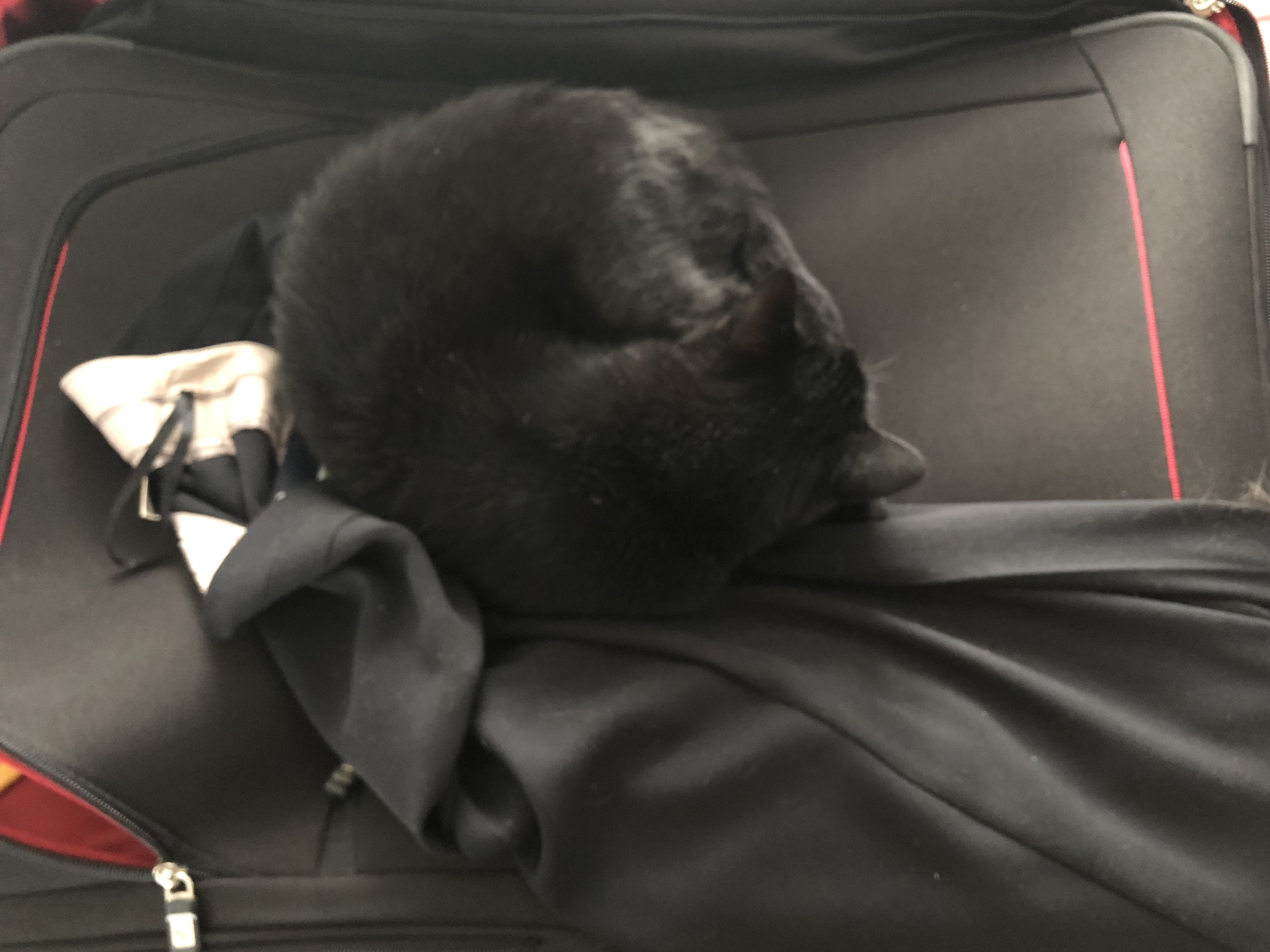 769399F1-1B30-4366-89CE-BBA9F6B1FB6F