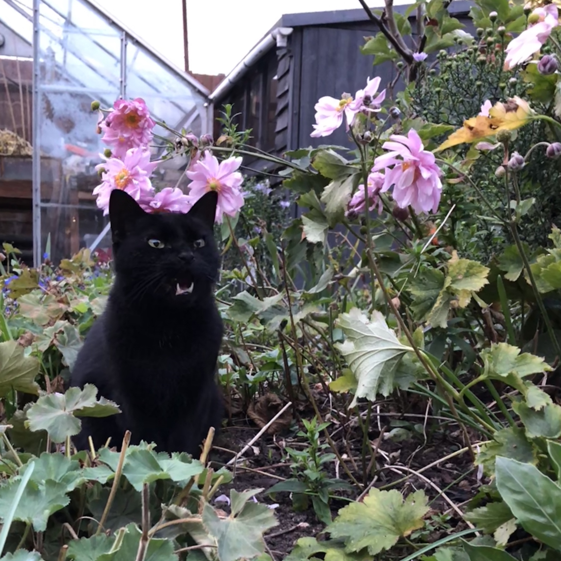 795E57B1-1E82-41DE-8085-E64720D62304