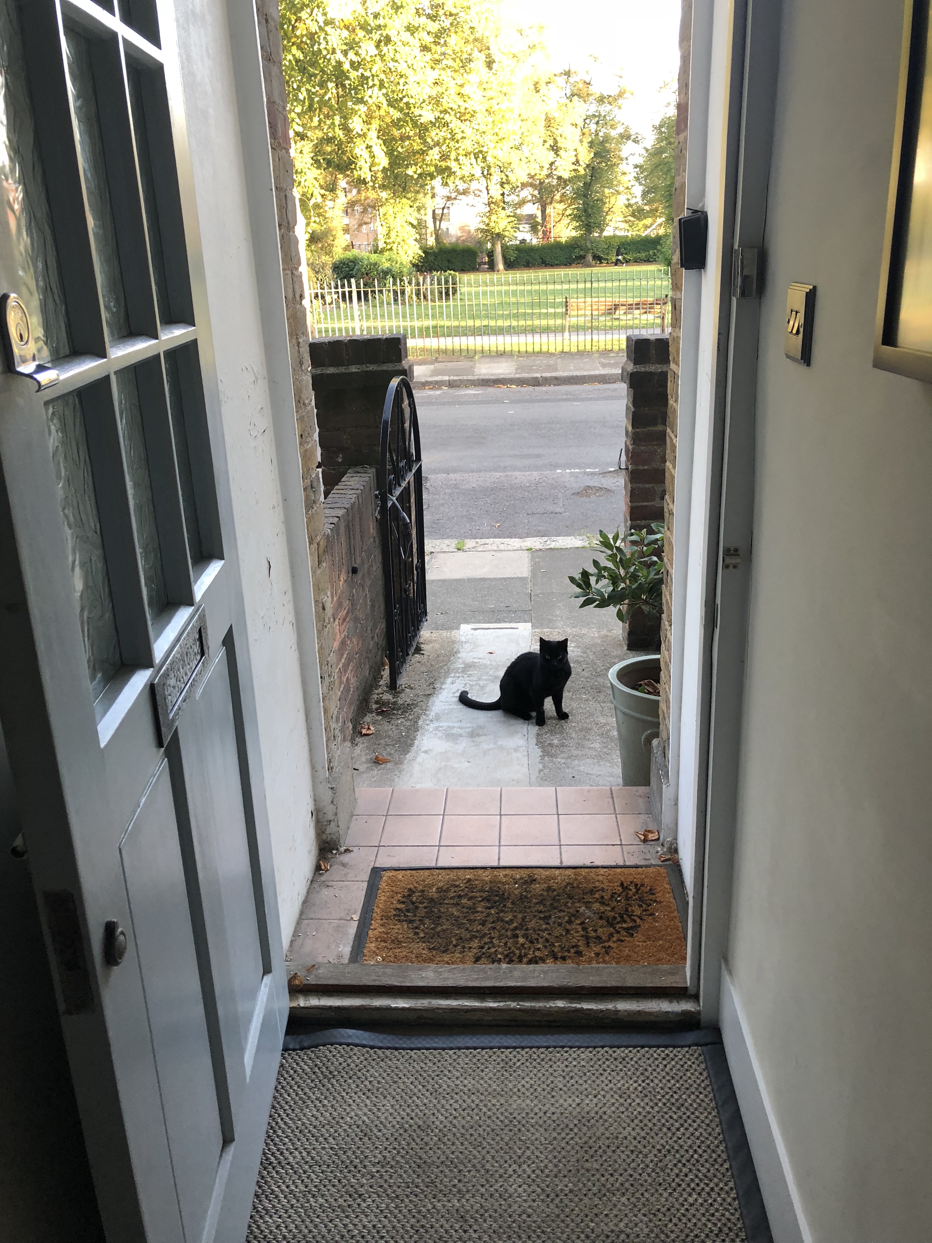 8B1EFD09-4169-4C99-9CAE-7C5410214DE4