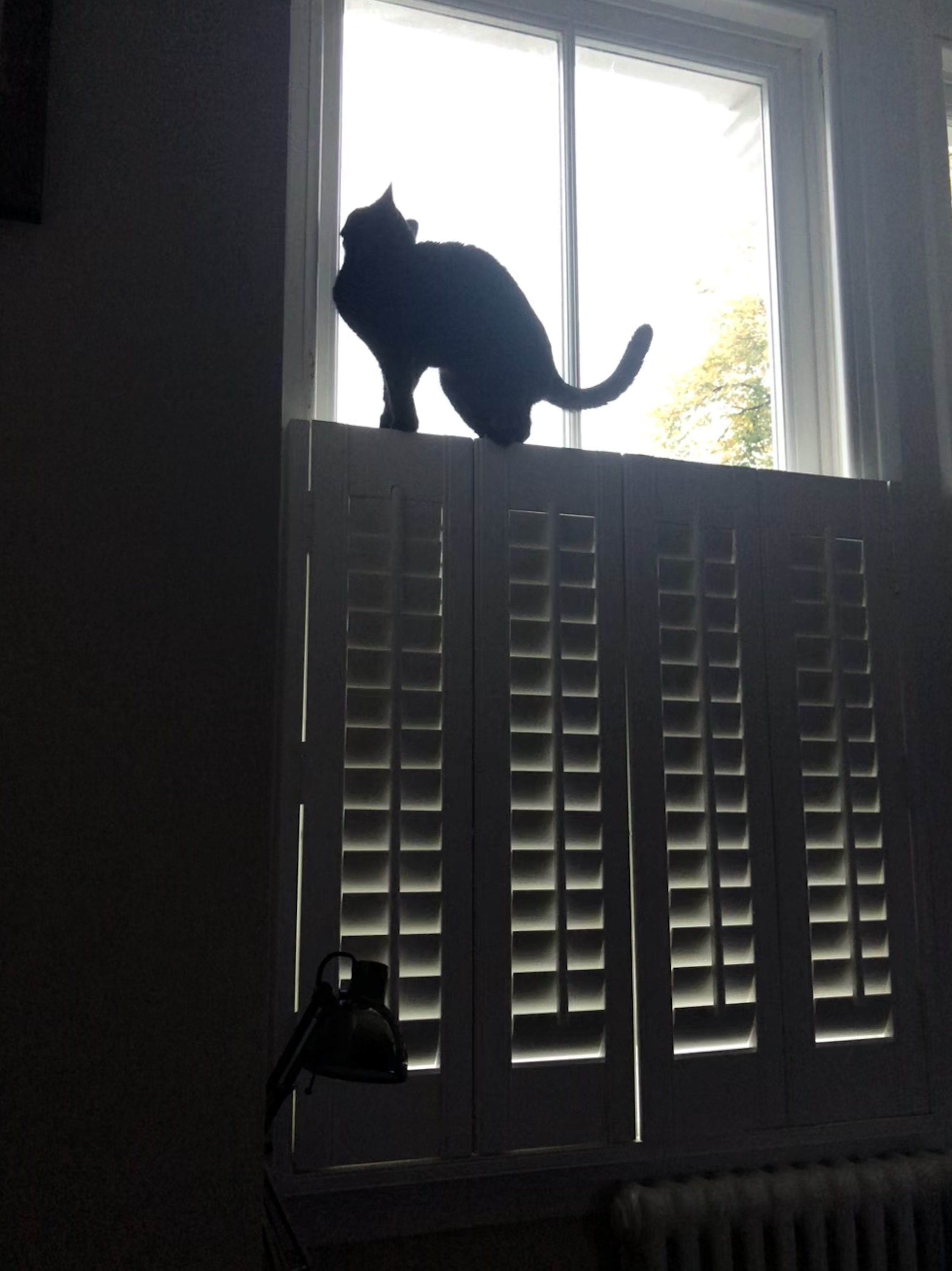 060BBE31-9002-4E2D-8974-9F74A8D67A23