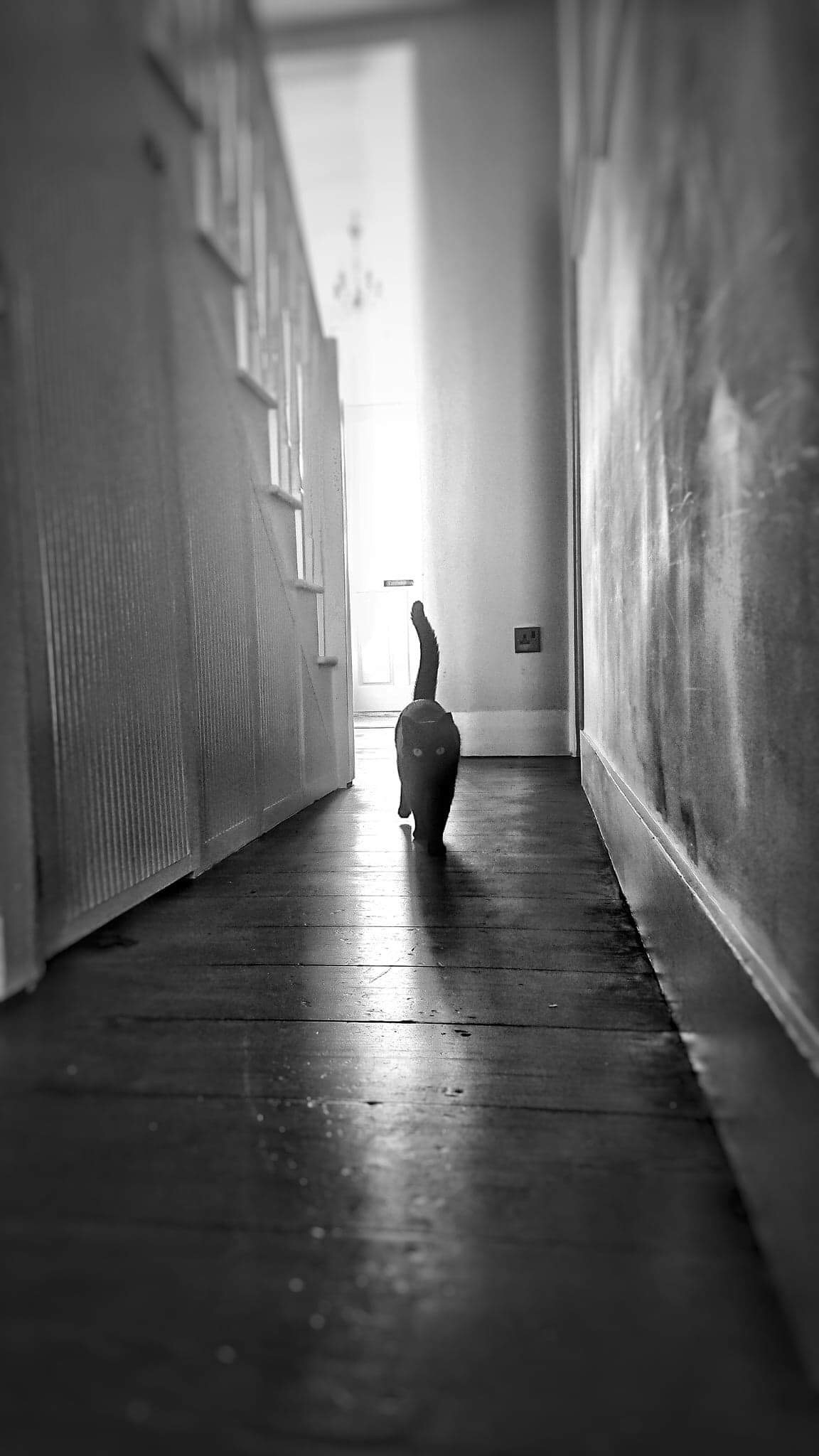 3B371086-8ABE-4B18-8AE2-90E7352986AD