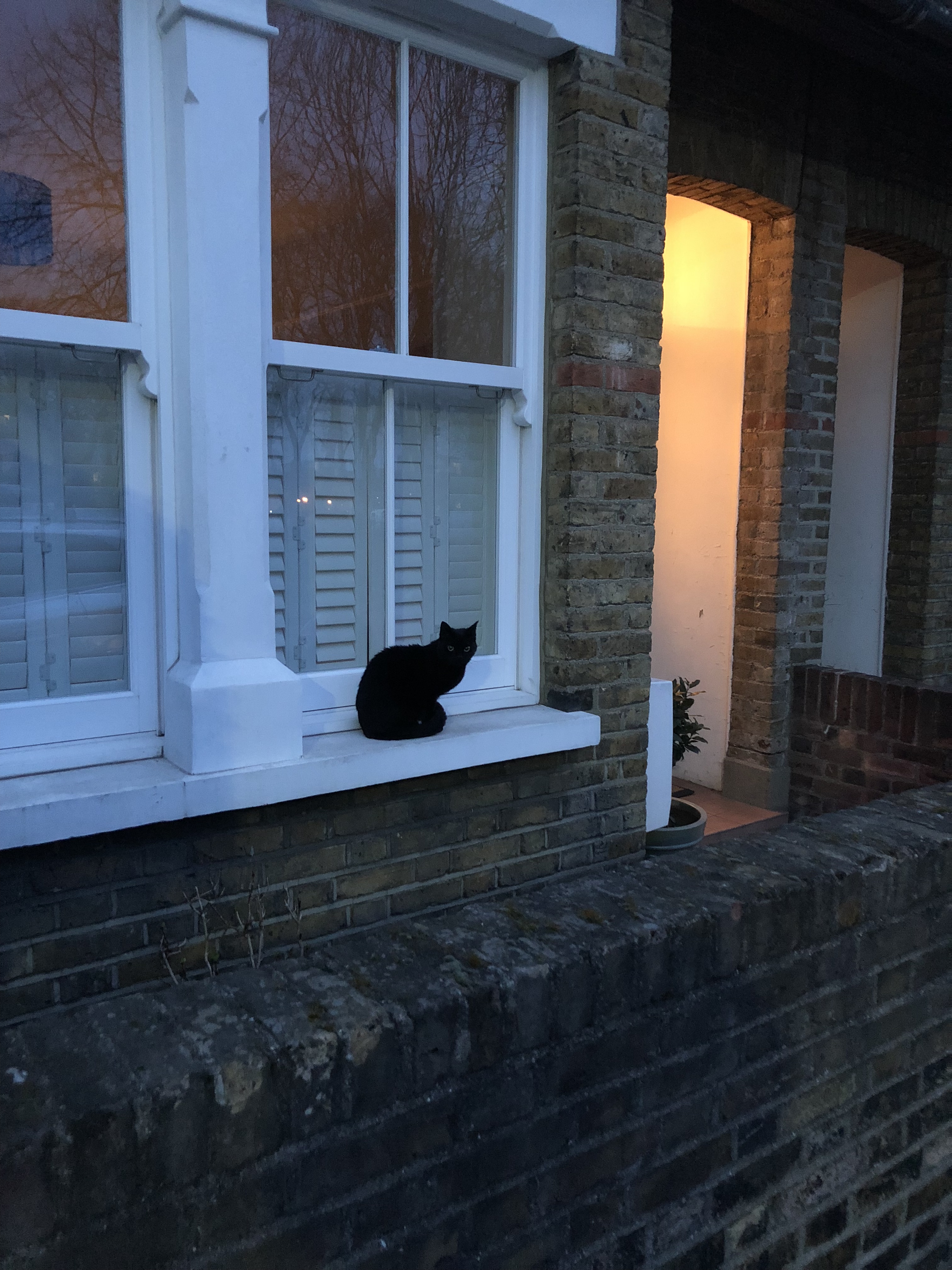 F81E90C2-A325-4E70-9564-6BEB491ECFF0