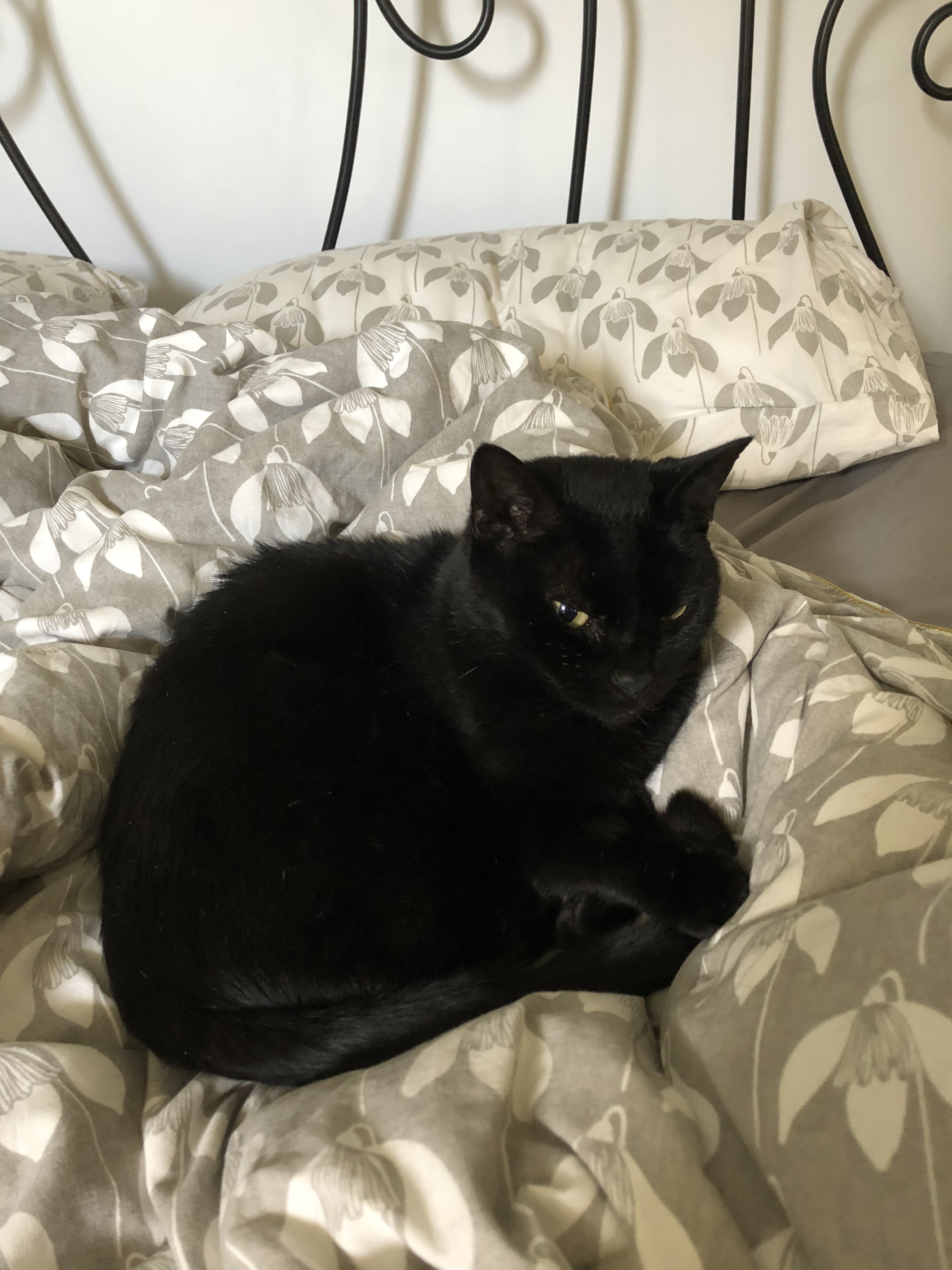 662F11CD-B9E0-4B4F-BF02-343413195030