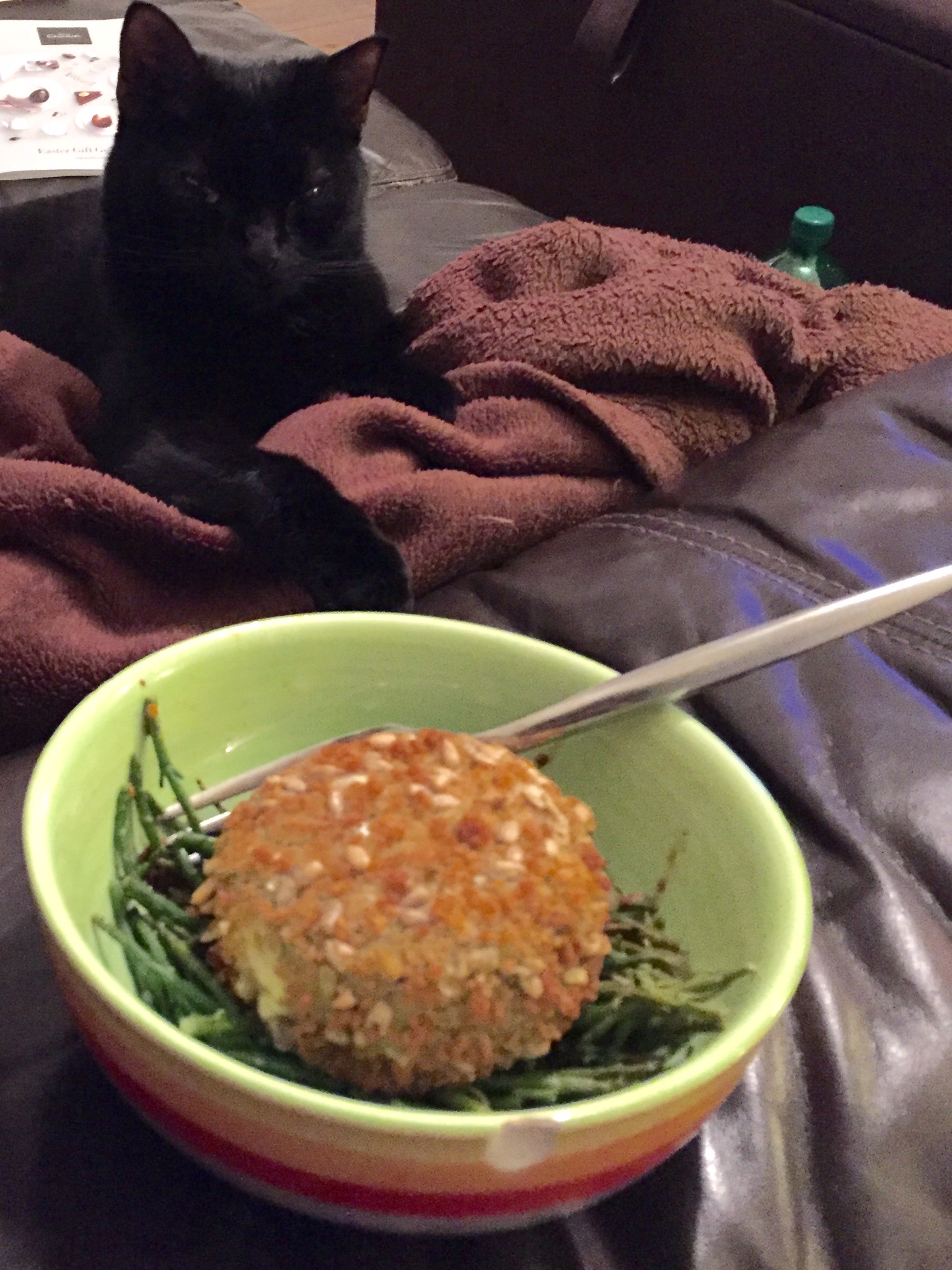 7367EF03-8712-482A-9736-C0216A2BFC52