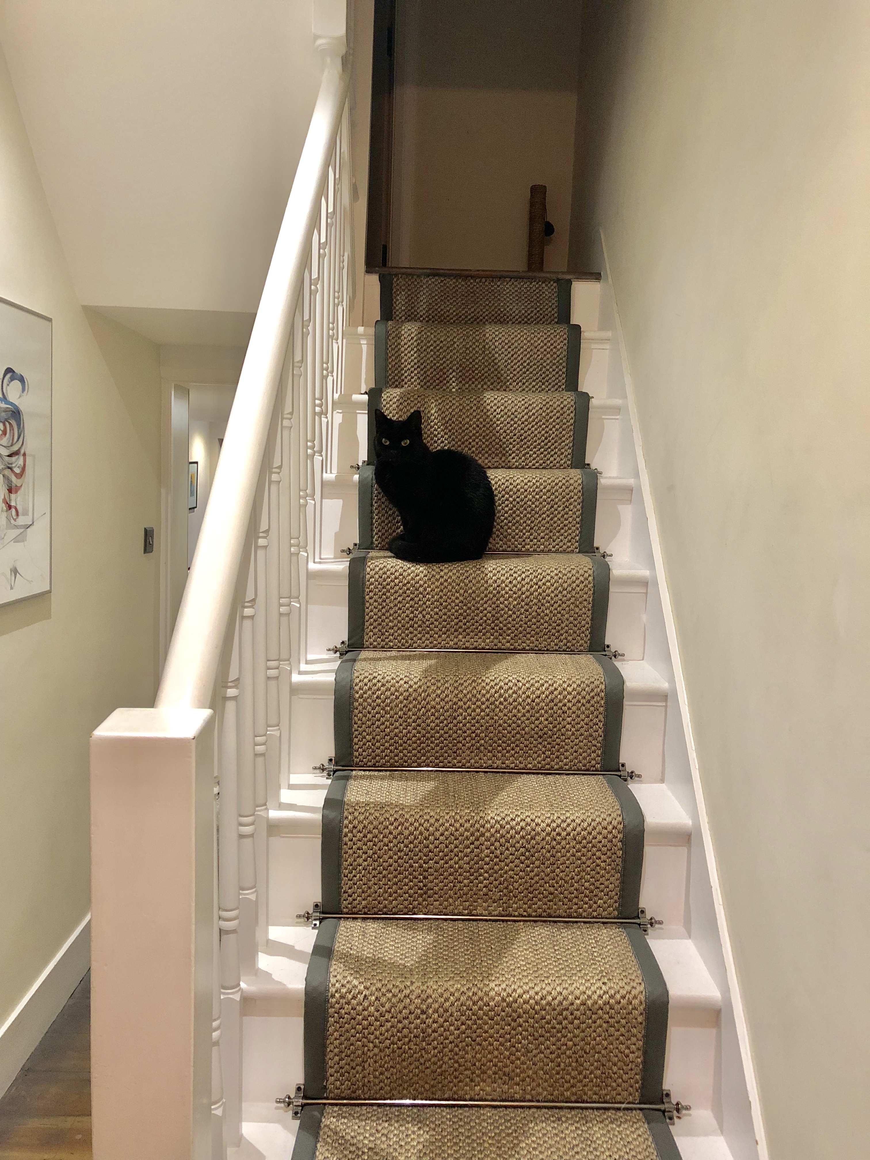 90062CFE-4239-4A0E-B3F7-738DC6391637