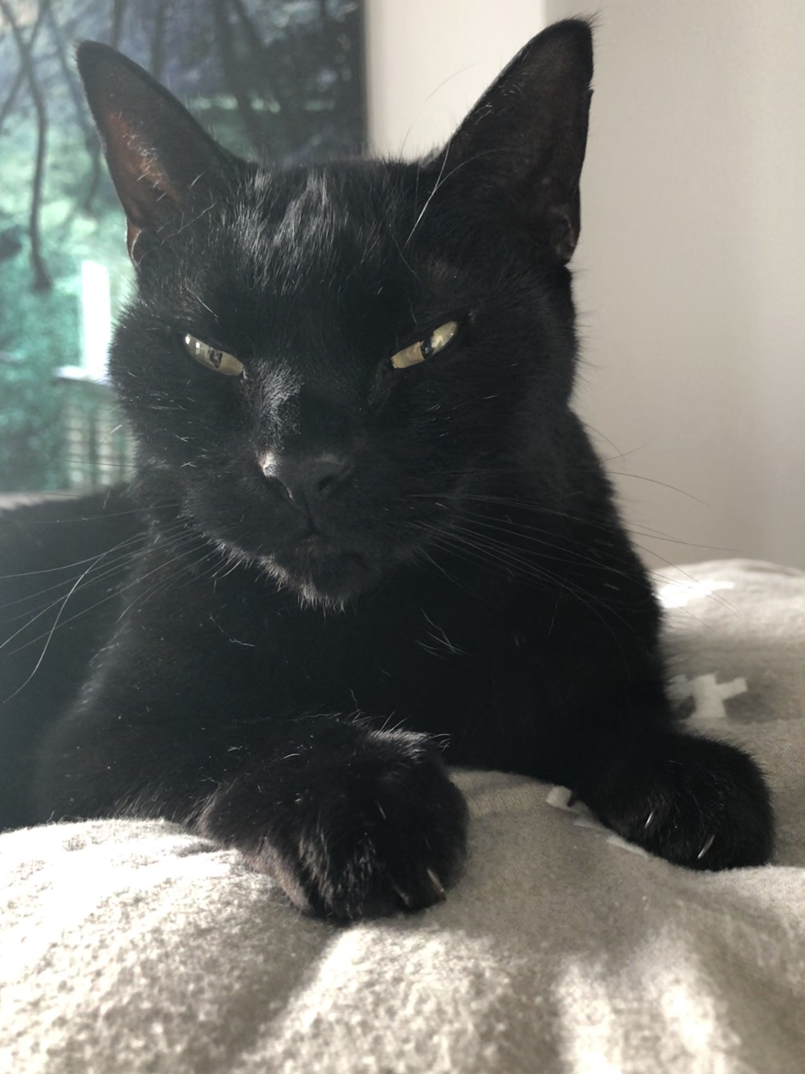 0af8cfad-15ac-4912-81c9-bf144b47dbb6