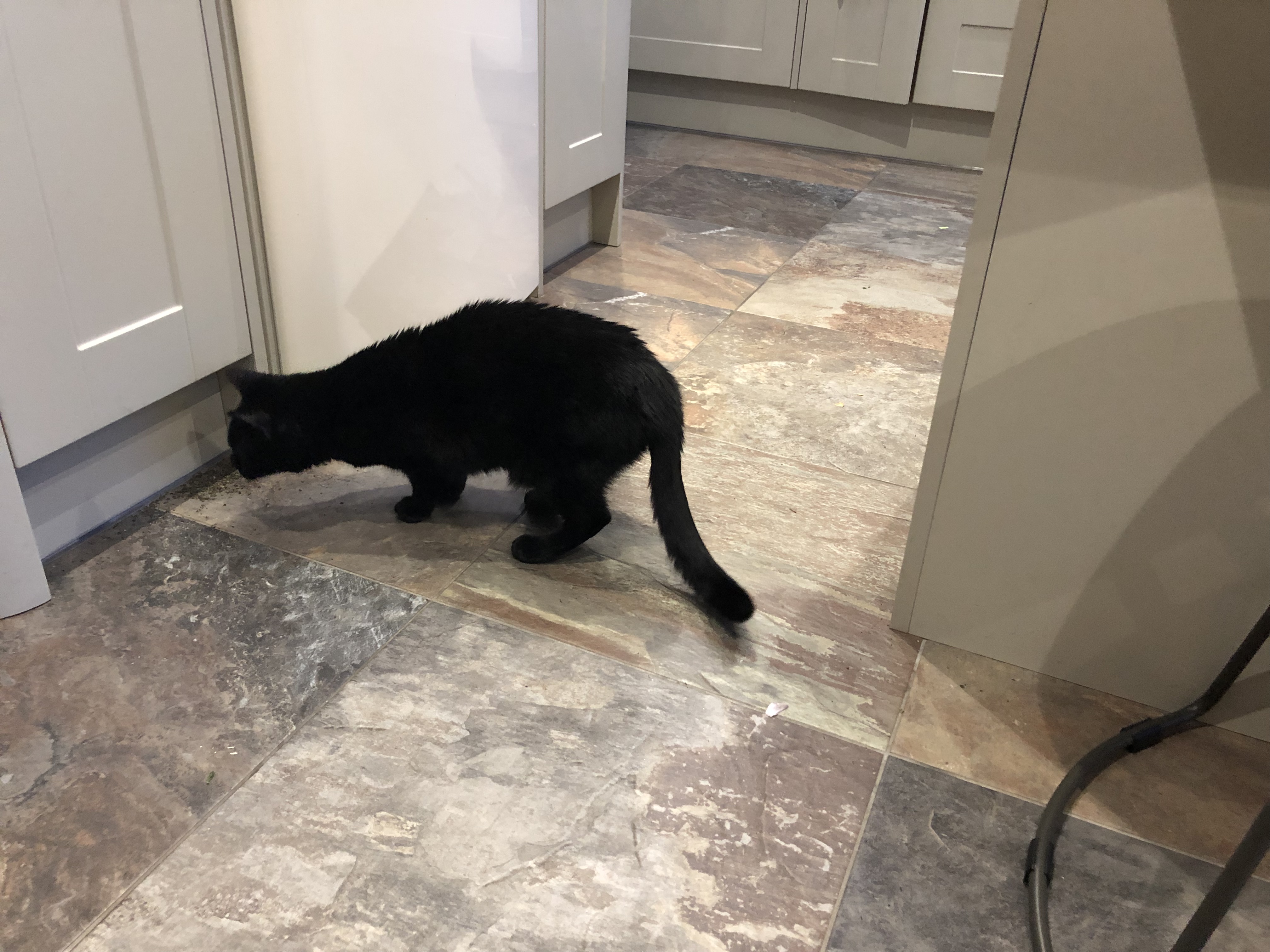 1e5e7a40-1d74-4d44-aa3f-eaeb4c01e4e6