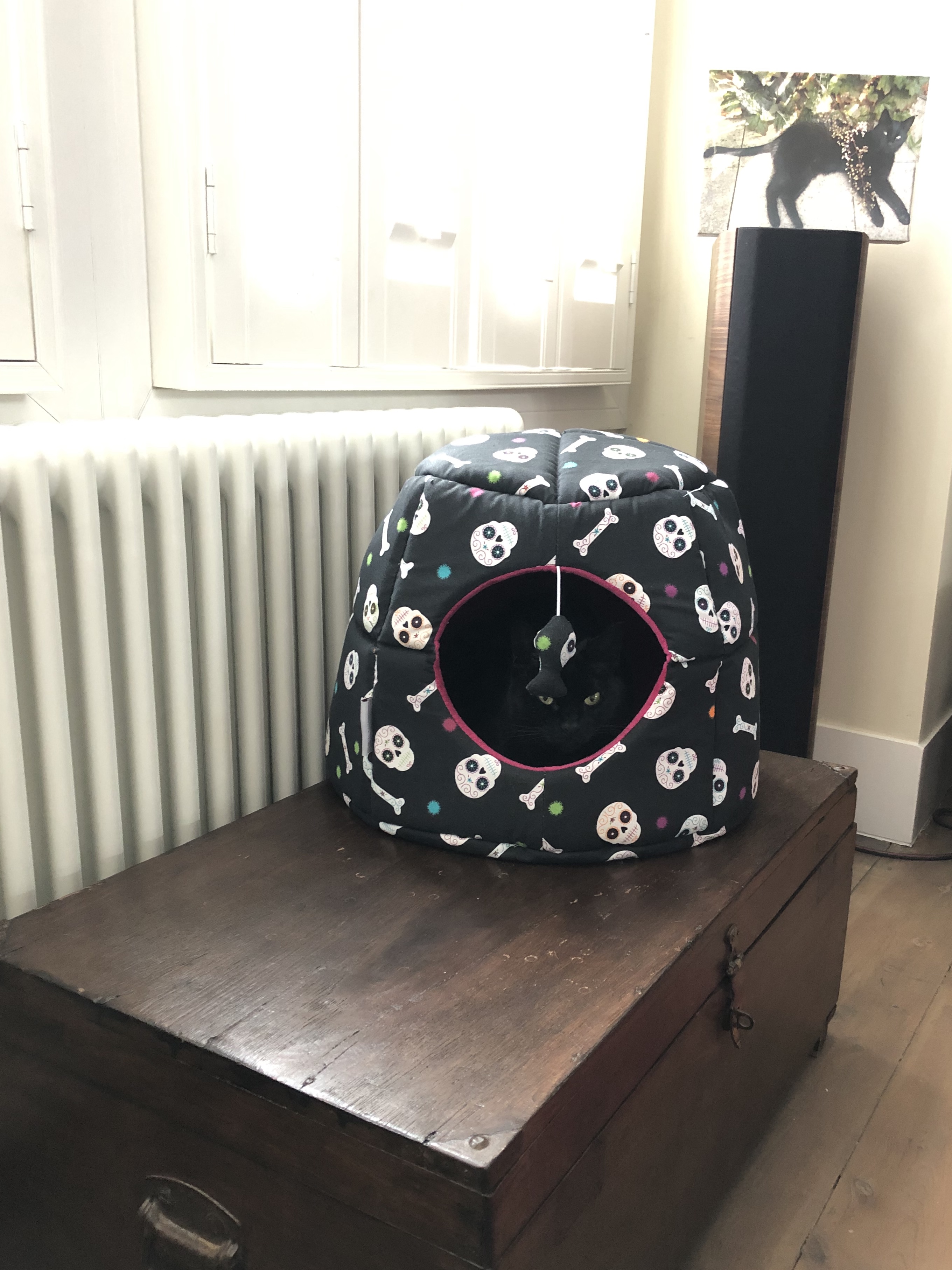 cd374132-4140-4a21-b038-edf847c4877c