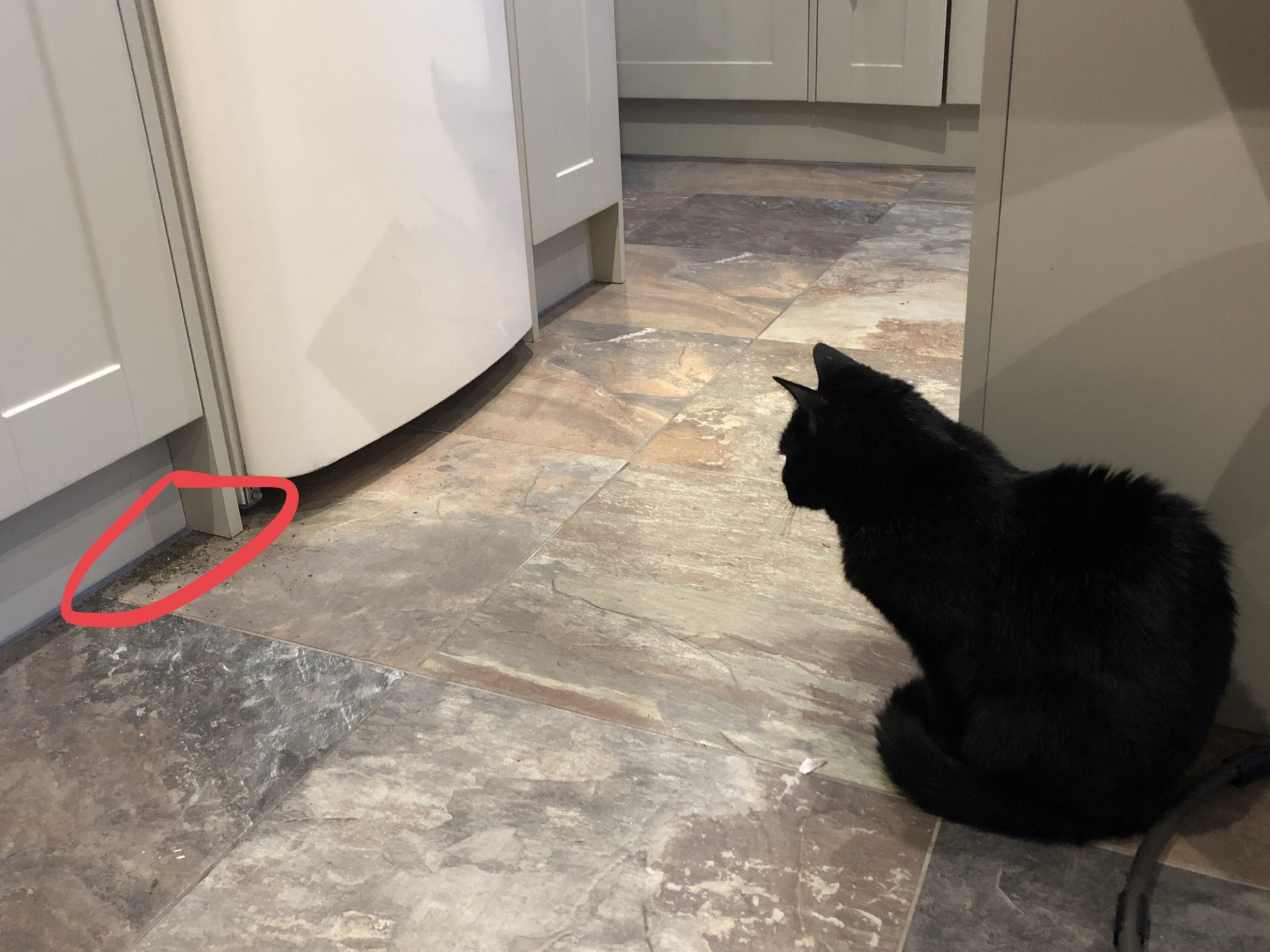 cdb3257b-d34c-4791-9af0-bdc56d45ddb9