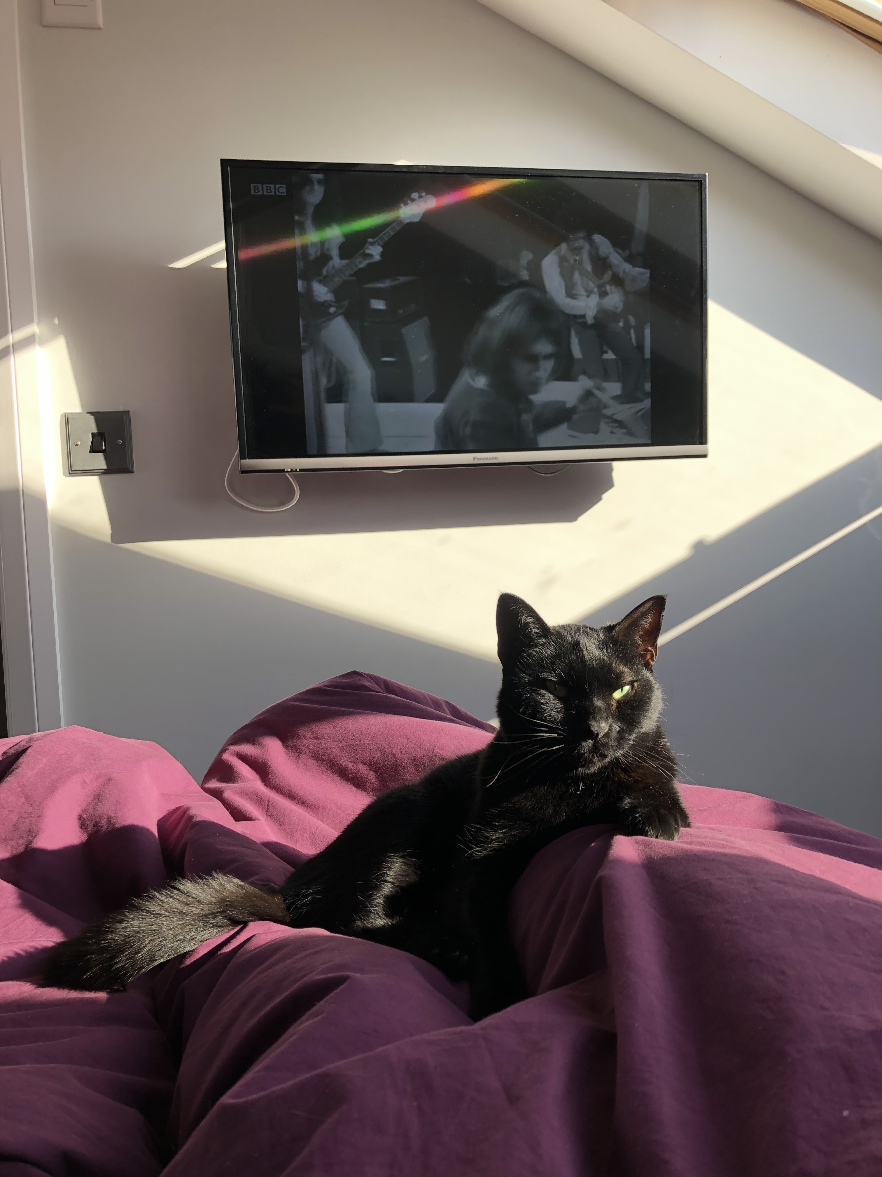 4D6C9851-186E-4A45-A1EB-63471144AE1D