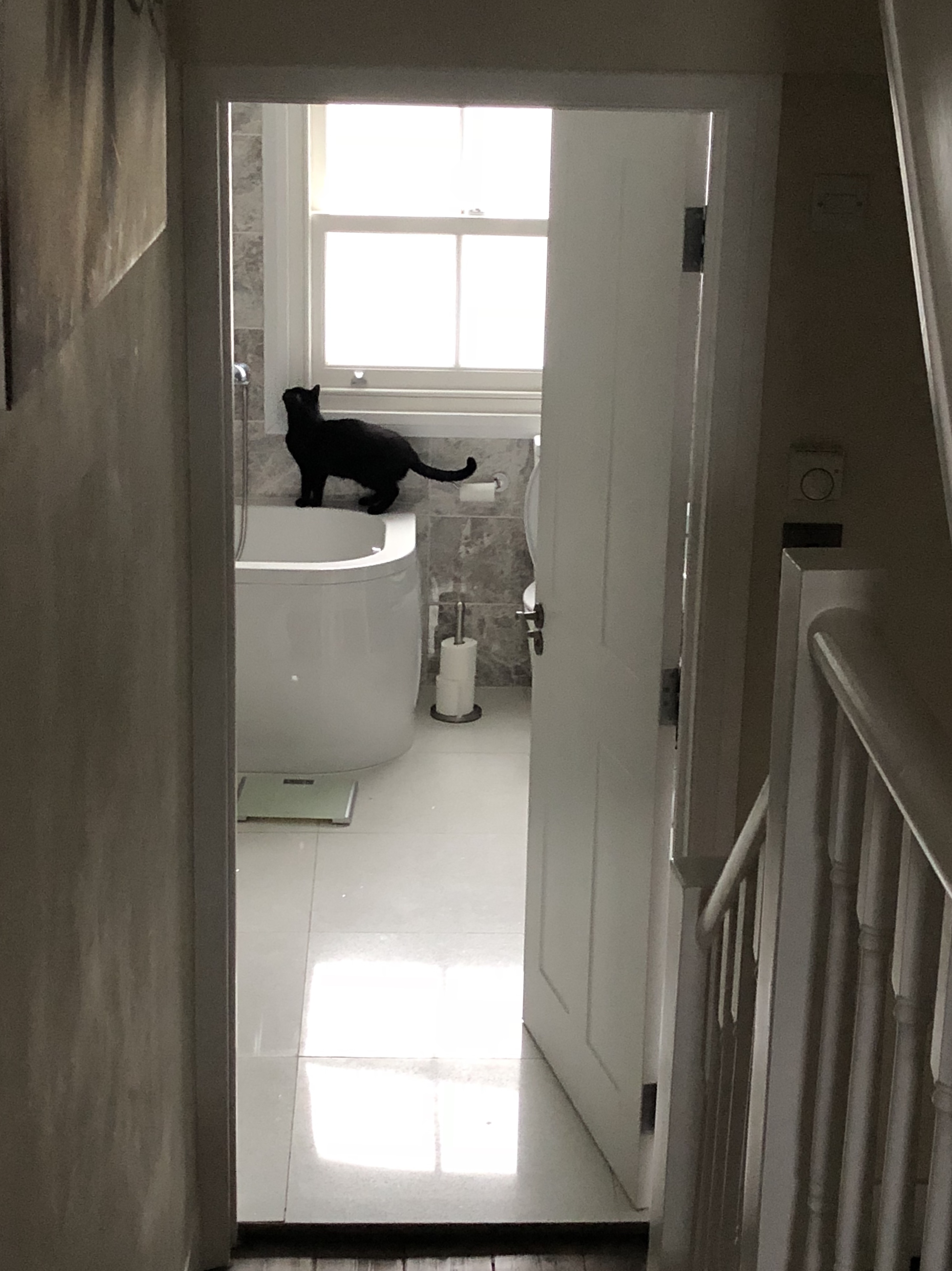 D7CC29DF-F976-4E58-B071-04756D3C4FF2