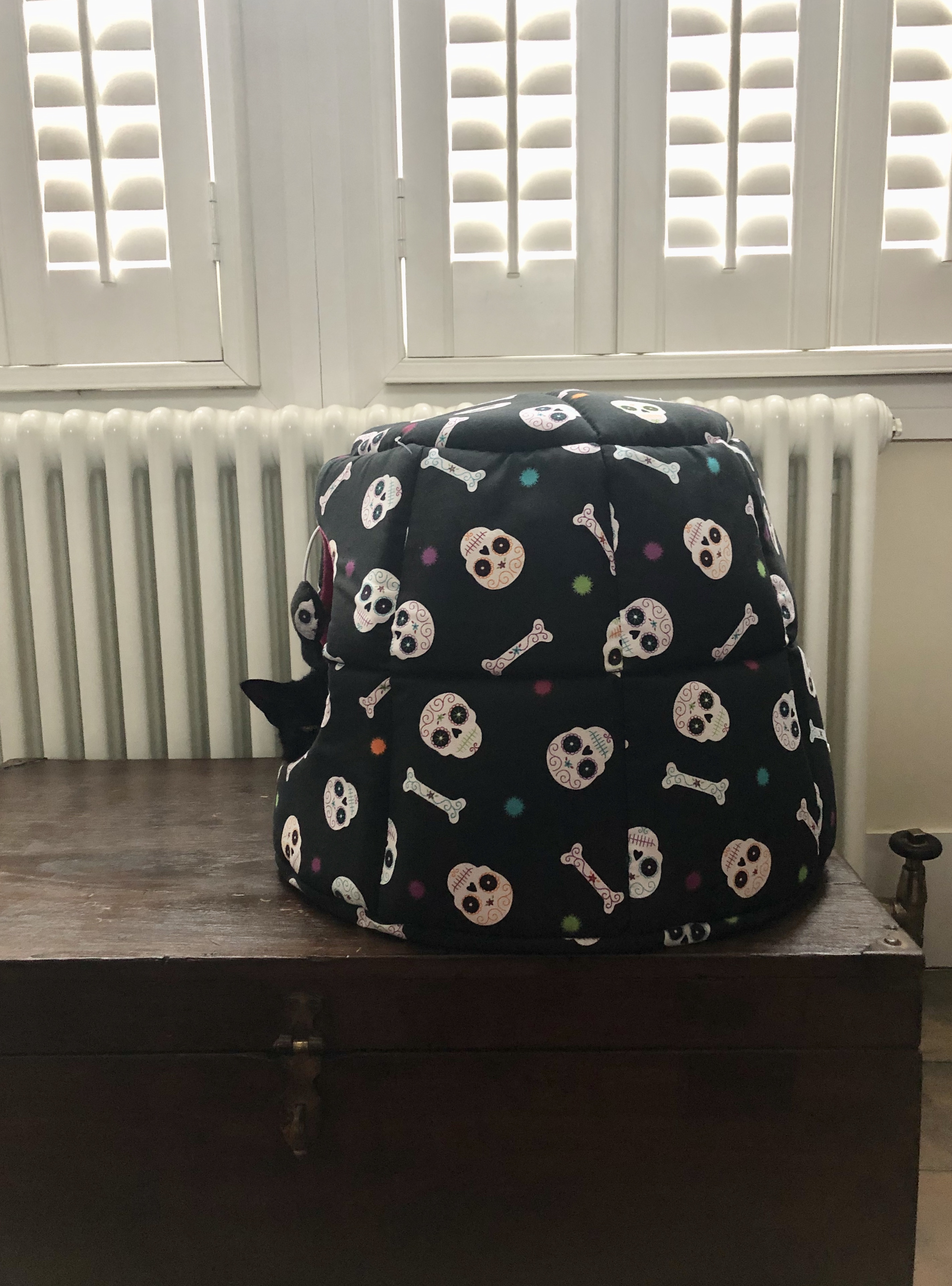 47B2D2EE-C621-414E-B2D2-751D45D0E4C1