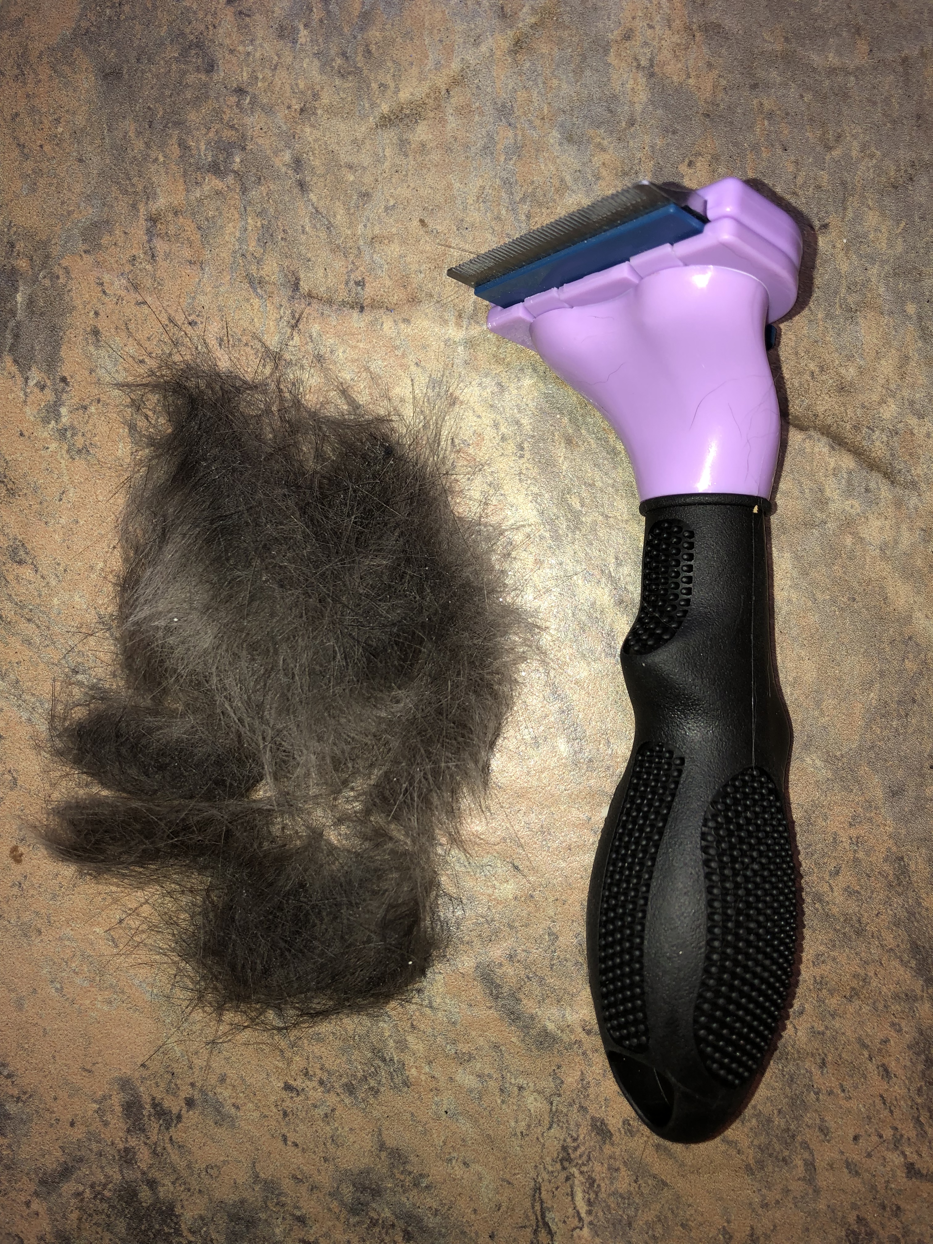 A97958AC-6ECA-42C0-80D3-3B095E5CEFEE